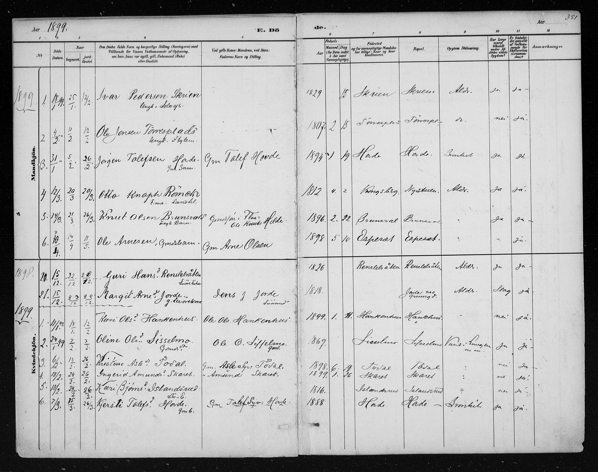 Nes kirkebøker, AV/SAKO-A-236/F/Fa/L0011: Parish register (official) no. 11, 1881-1912, p. 351