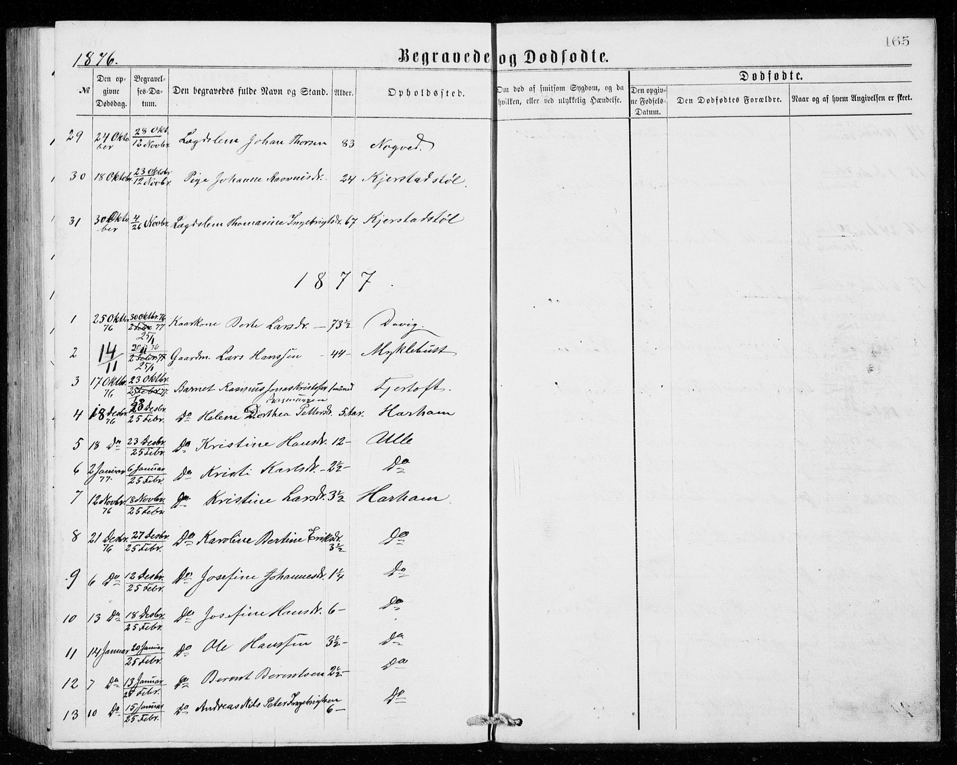 Ministerialprotokoller, klokkerbøker og fødselsregistre - Møre og Romsdal, AV/SAT-A-1454/536/L0509: Parish register (copy) no. 536C04, 1871-1881, p. 165