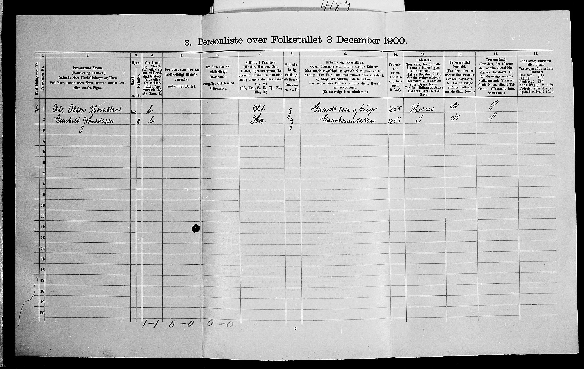 SAK, 1900 census for Hægeland, 1900, p. 313