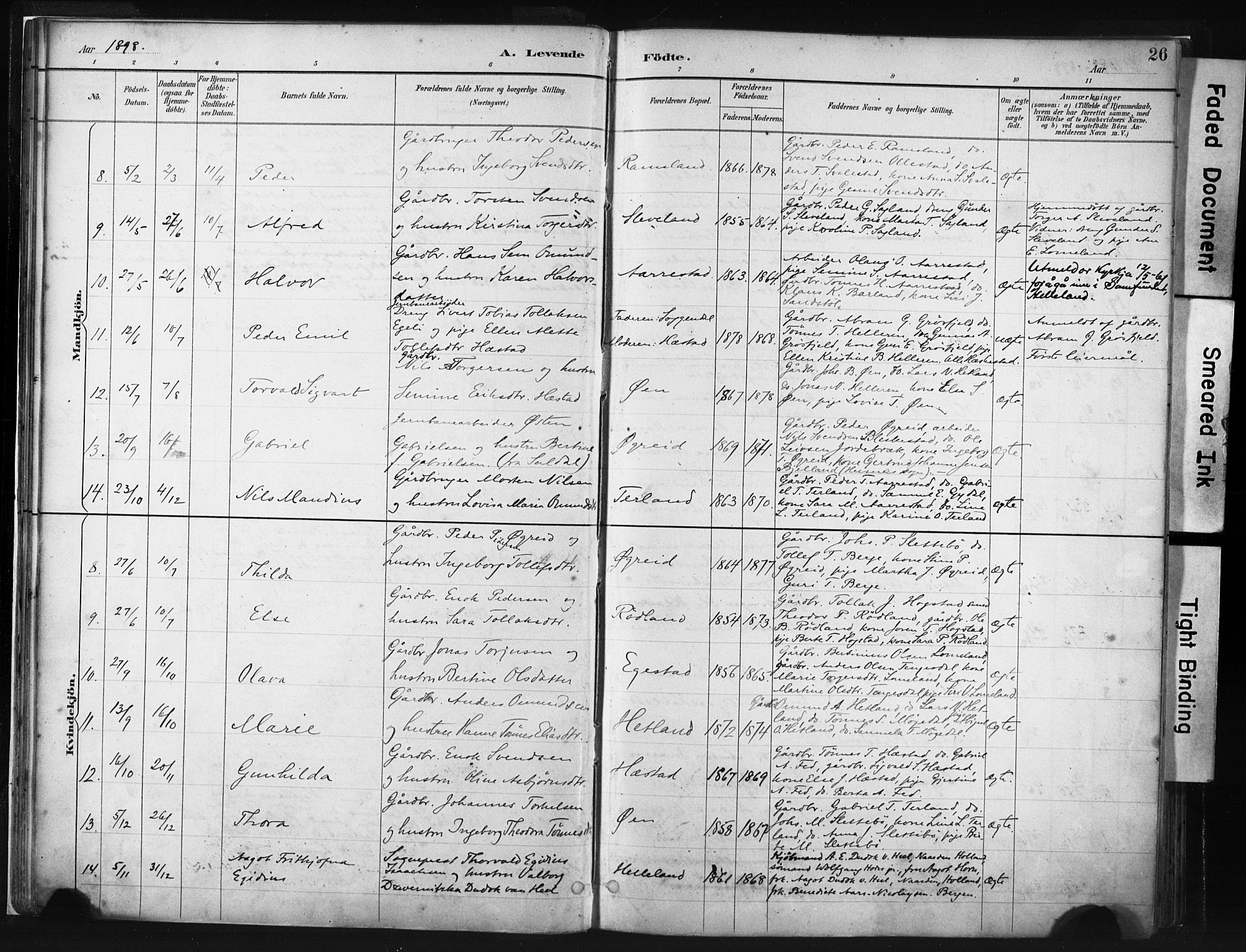 Helleland sokneprestkontor, AV/SAST-A-101810: Parish register (official) no. A 8, 1887-1907, p. 26