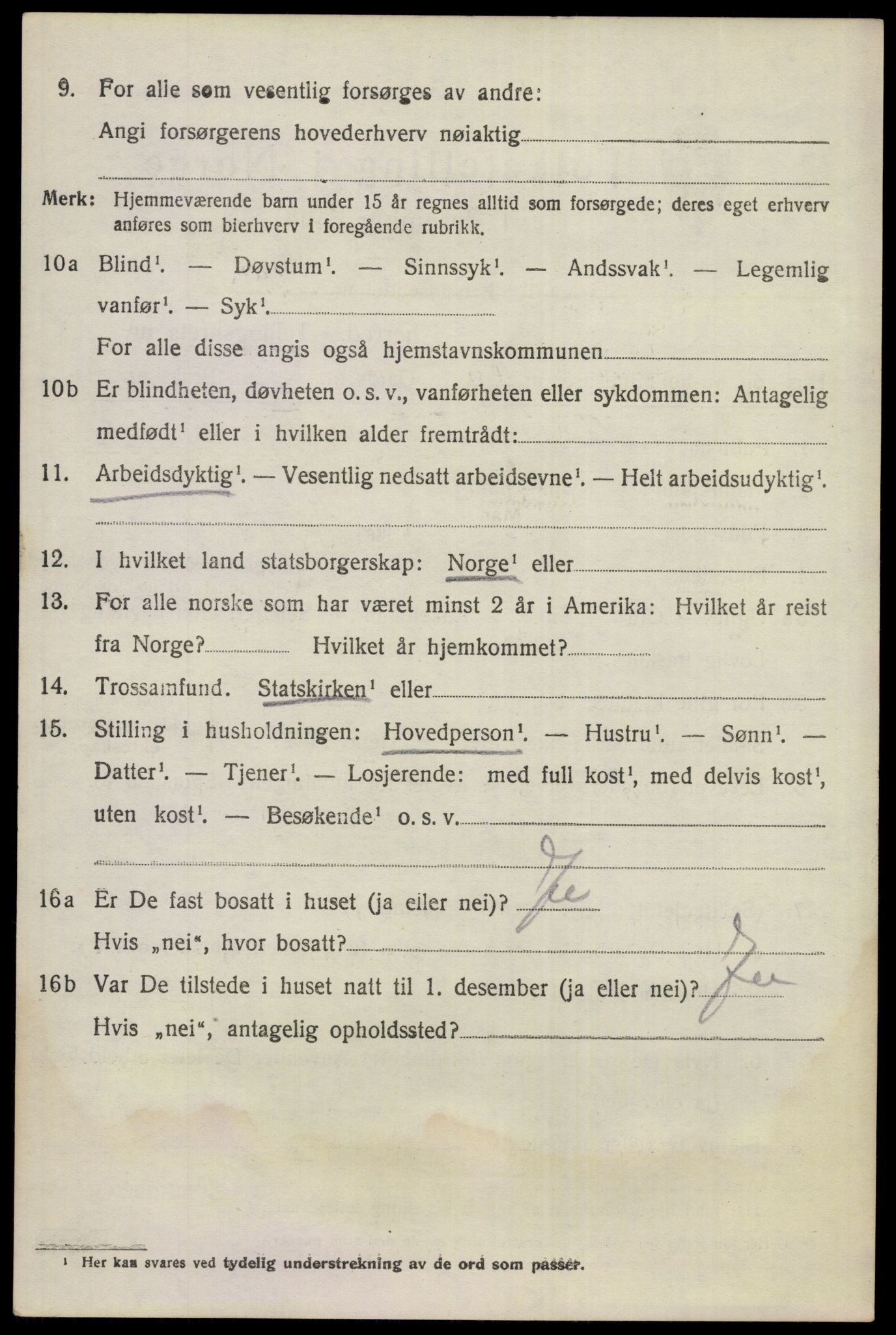 SAKO, 1920 census for Nes (Buskerud), 1920, p. 3105