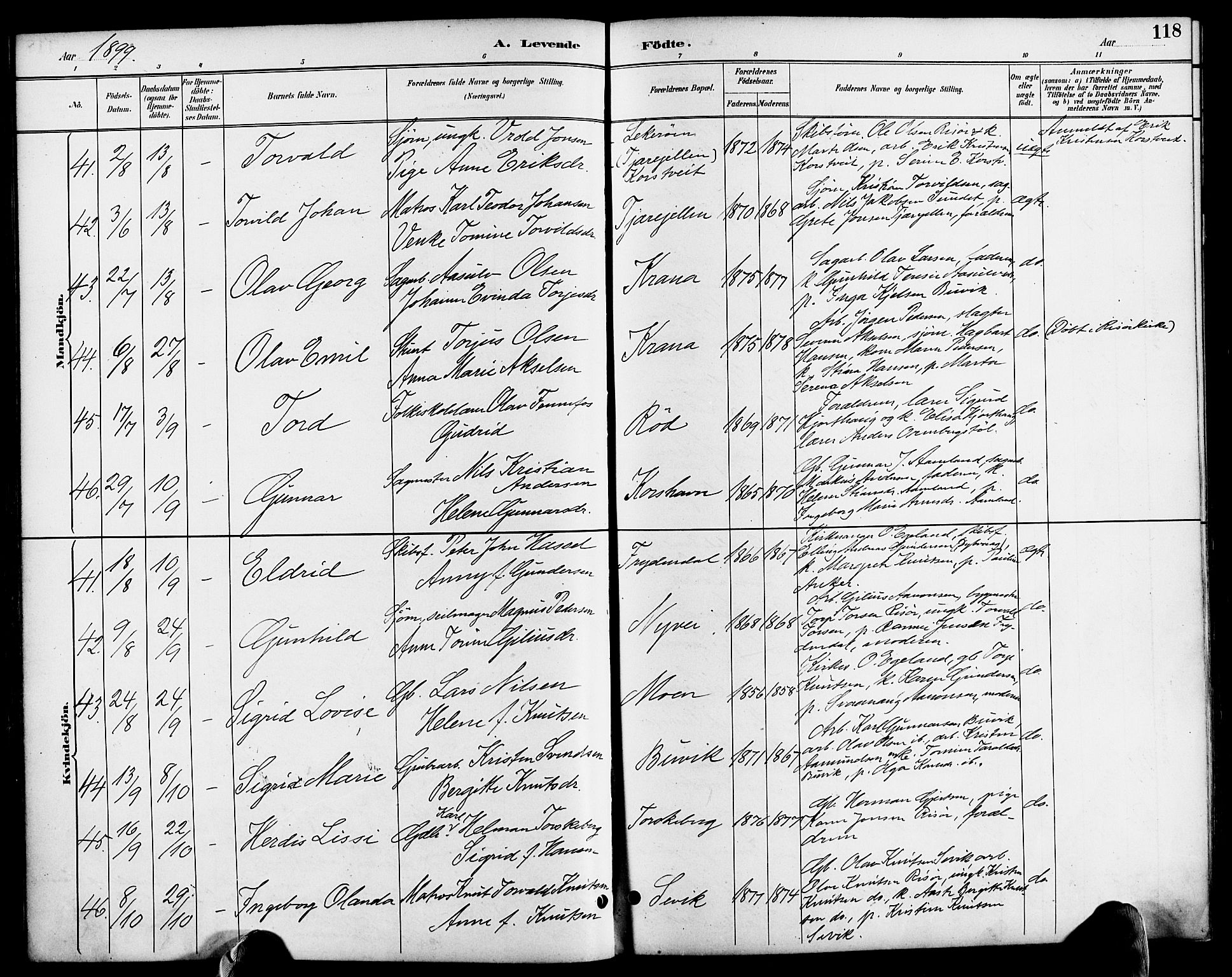 Søndeled sokneprestkontor, AV/SAK-1111-0038/F/Fa/L0005: Parish register (official) no. A 5, 1889-1899, p. 118