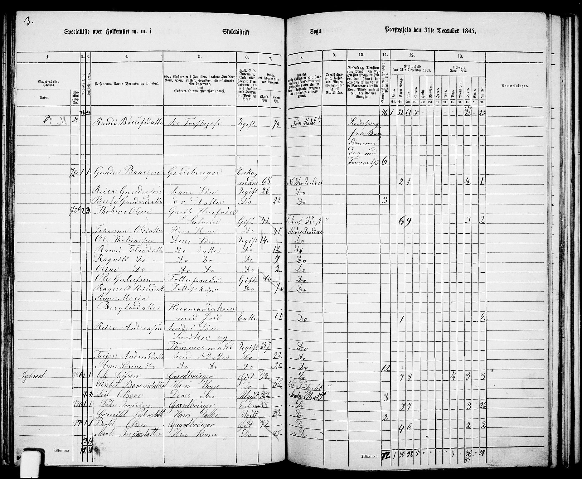 RA, 1865 census for Nord-Audnedal, 1865, p. 72