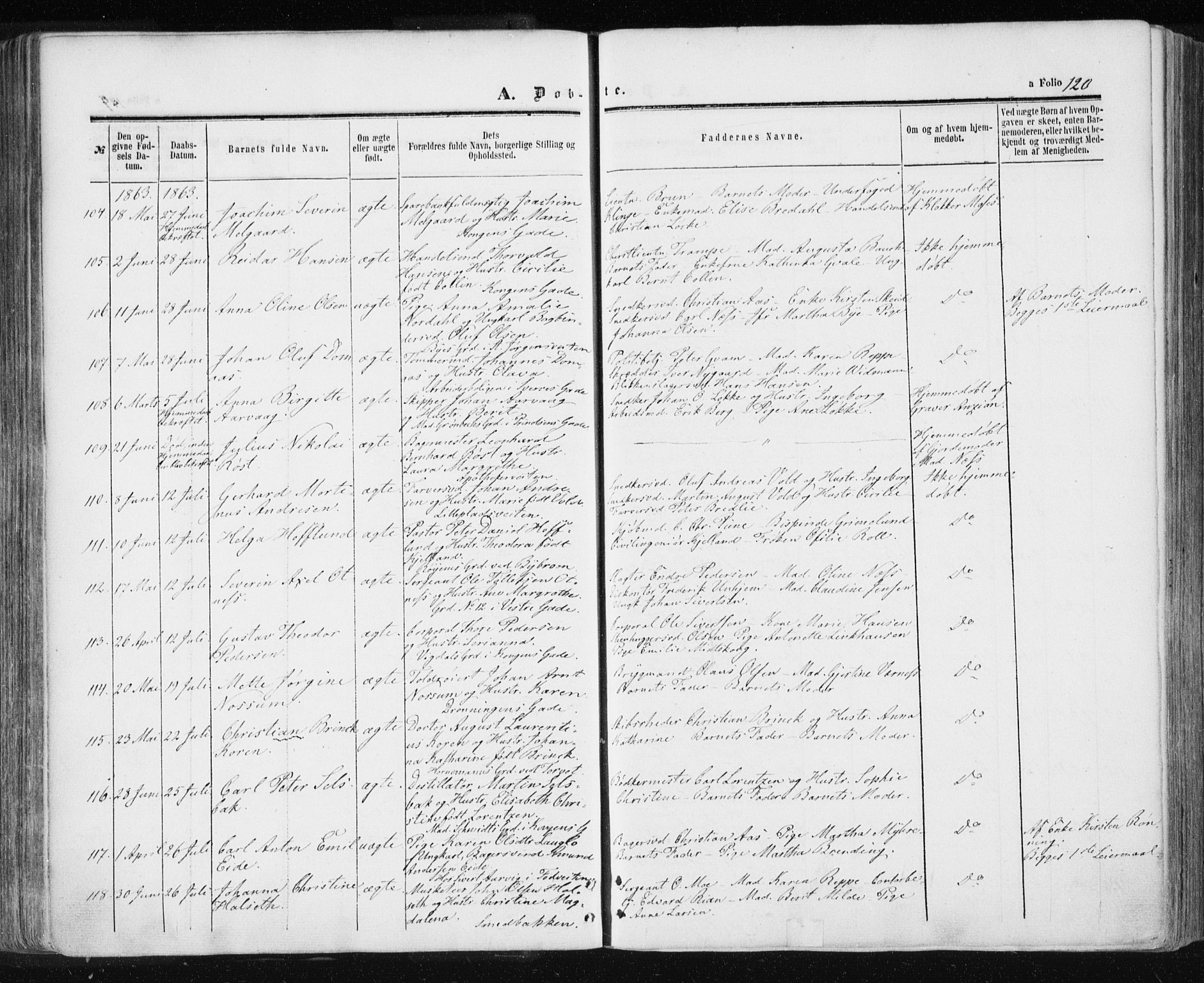Ministerialprotokoller, klokkerbøker og fødselsregistre - Sør-Trøndelag, SAT/A-1456/601/L0053: Parish register (official) no. 601A21, 1857-1865, p. 120
