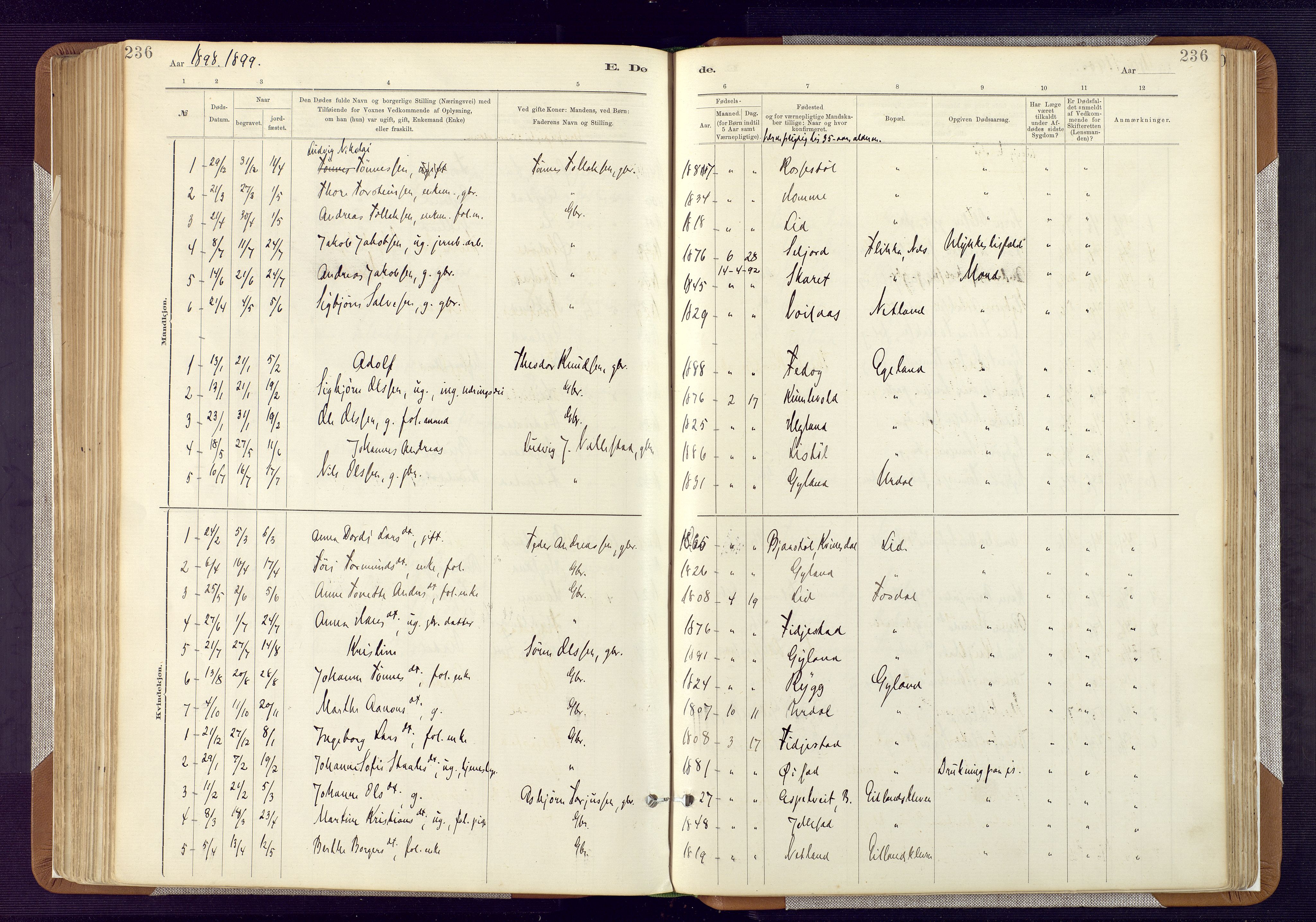 Bakke sokneprestkontor, SAK/1111-0002/F/Fa/Fab/L0003: Parish register (official) no. A 3, 1884-1921, p. 236