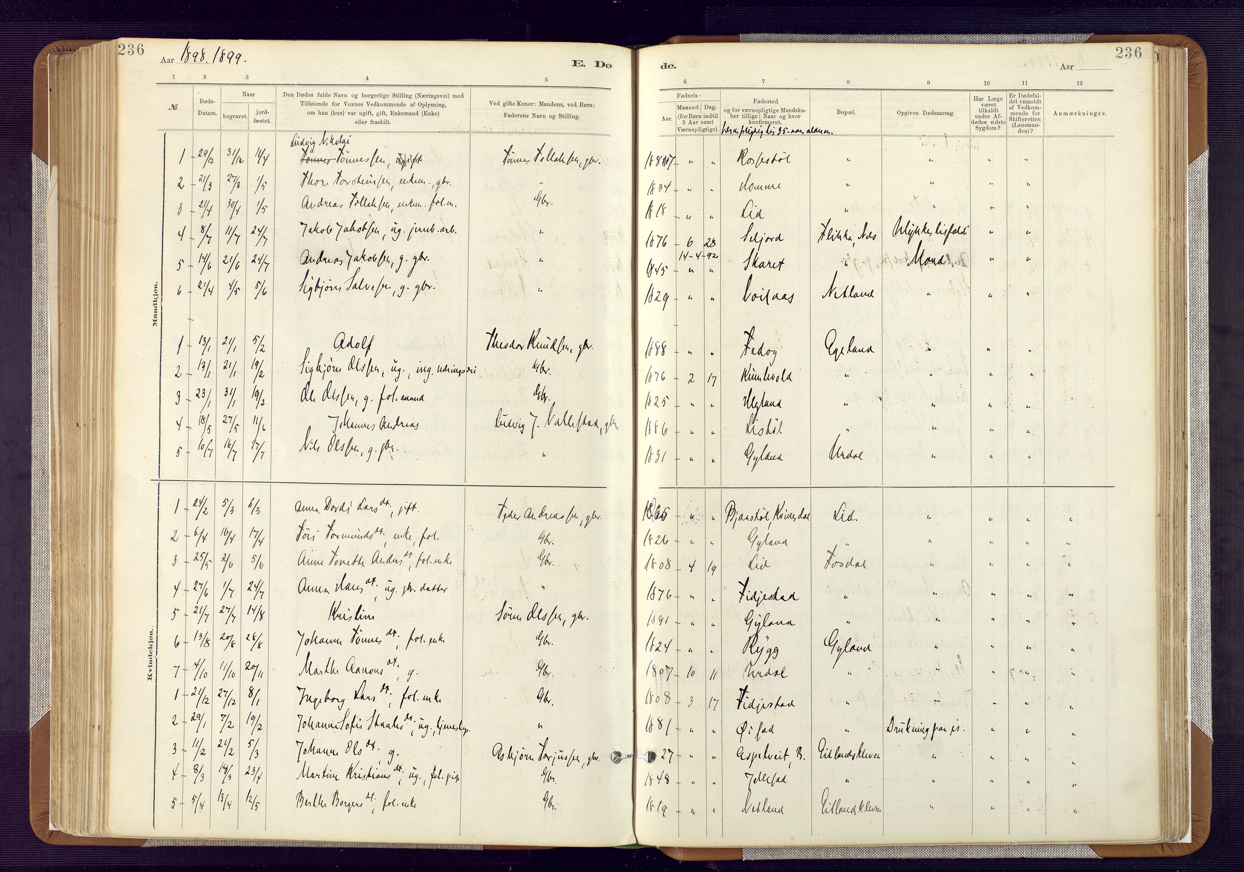 Bakke sokneprestkontor, AV/SAK-1111-0002/F/Fa/Fab/L0003: Parish register (official) no. A 3, 1884-1921, p. 236