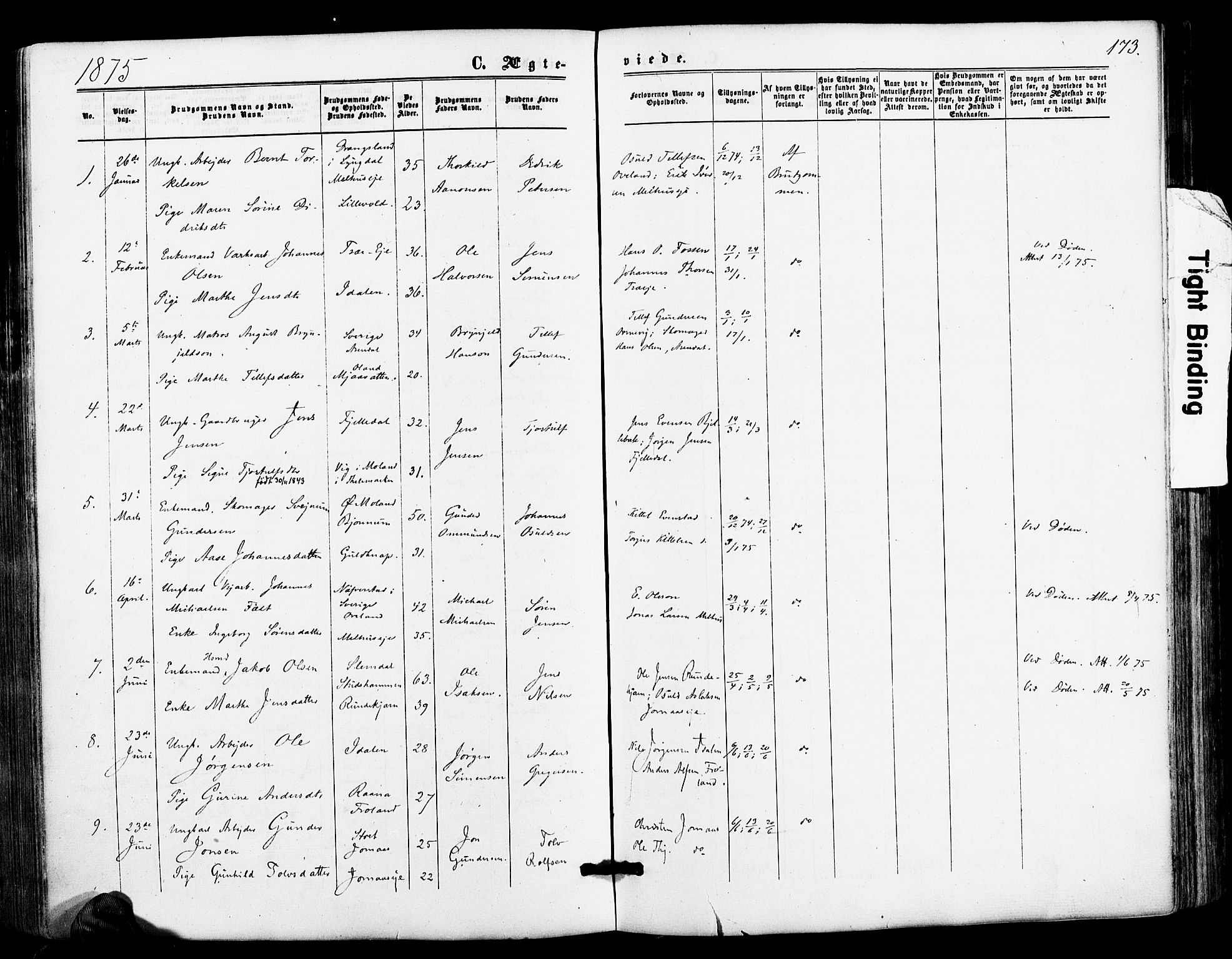 Froland sokneprestkontor, AV/SAK-1111-0013/F/Fa/L0003: Parish register (official) no. A 3, 1864-1881, p. 173