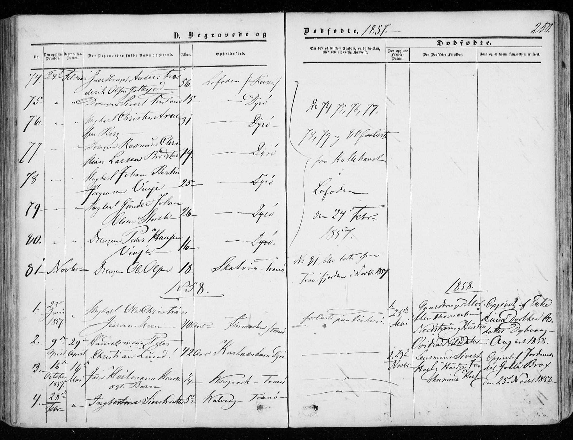 Tranøy sokneprestkontor, SATØ/S-1313/I/Ia/Iaa/L0007kirke: Parish register (official) no. 7, 1856-1866, p. 250