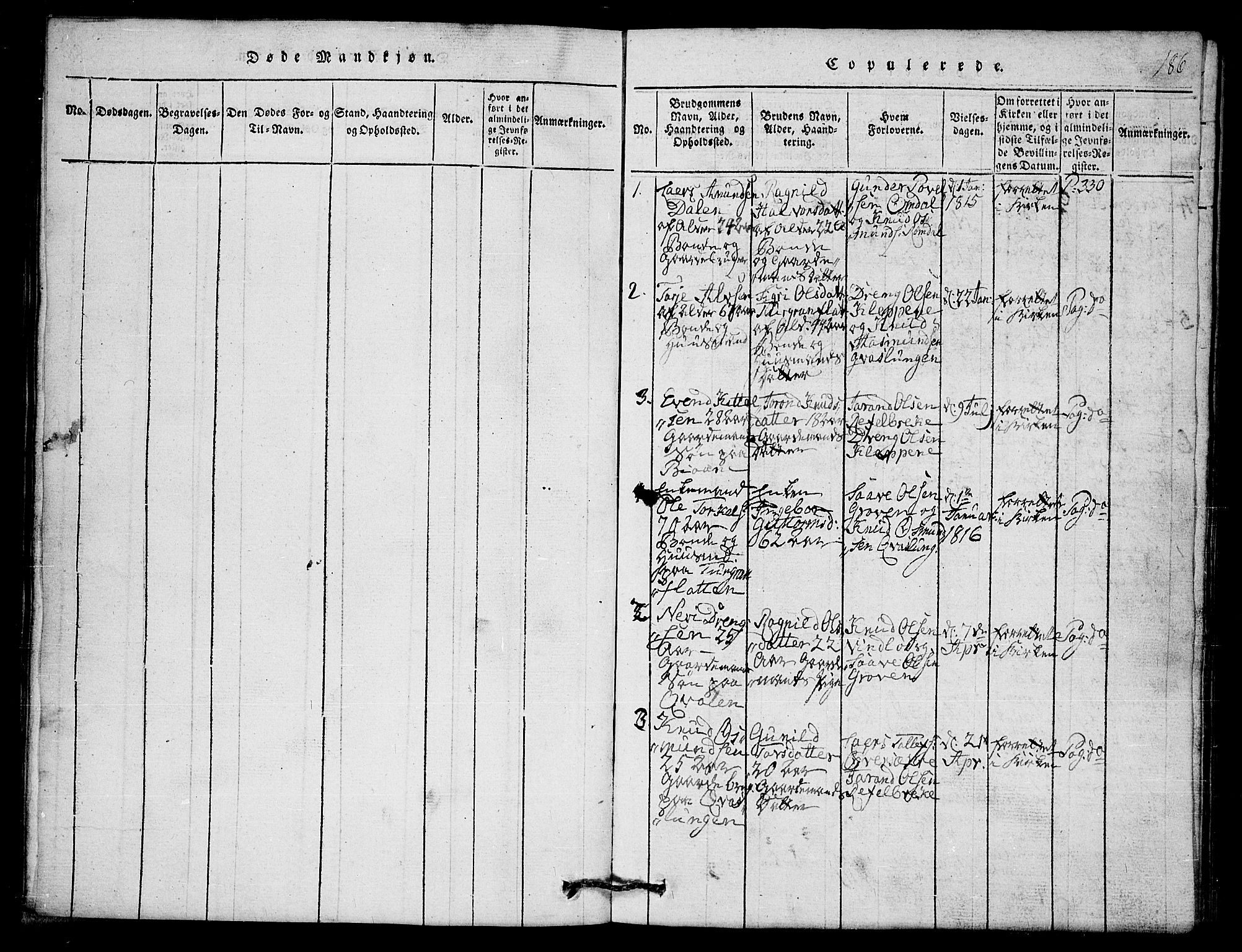 Lårdal kirkebøker, AV/SAKO-A-284/G/Gb/L0001: Parish register (copy) no. II 1, 1815-1865, p. 186