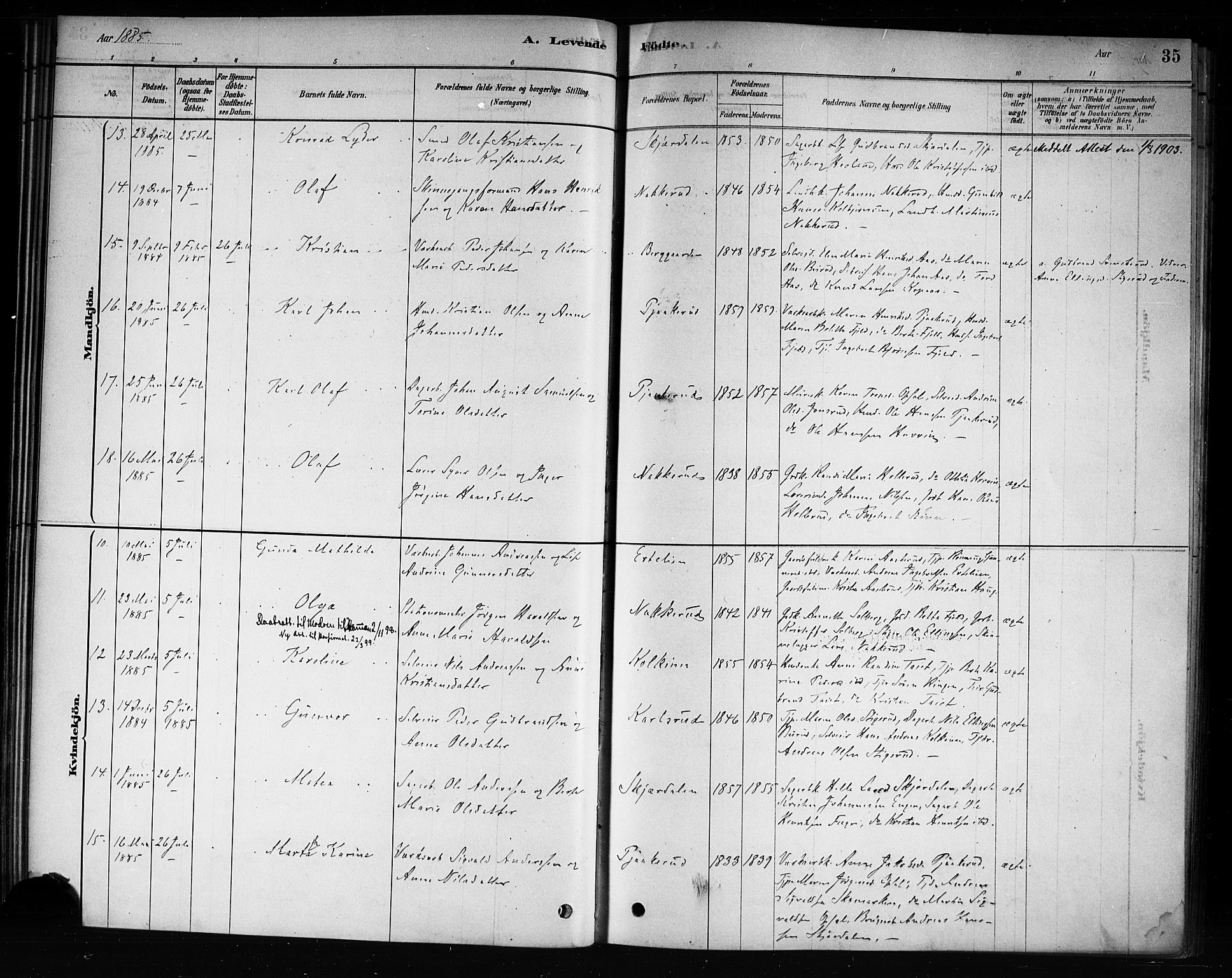 Hole kirkebøker, AV/SAKO-A-228/F/Fb/L0001: Parish register (official) no. II 1, 1878-1891, p. 35