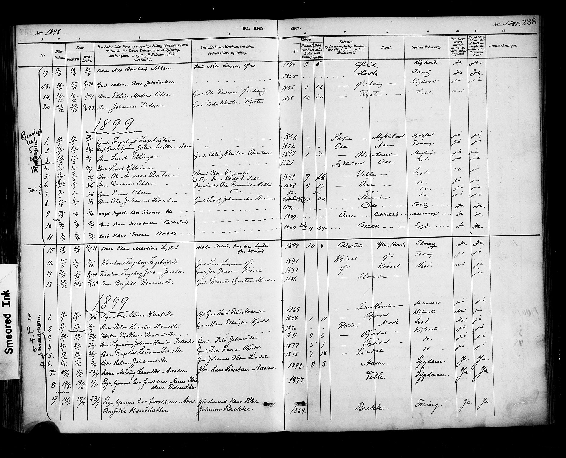 Ministerialprotokoller, klokkerbøker og fødselsregistre - Møre og Romsdal, AV/SAT-A-1454/513/L0177: Parish register (official) no. 513A04, 1890-1906, p. 238