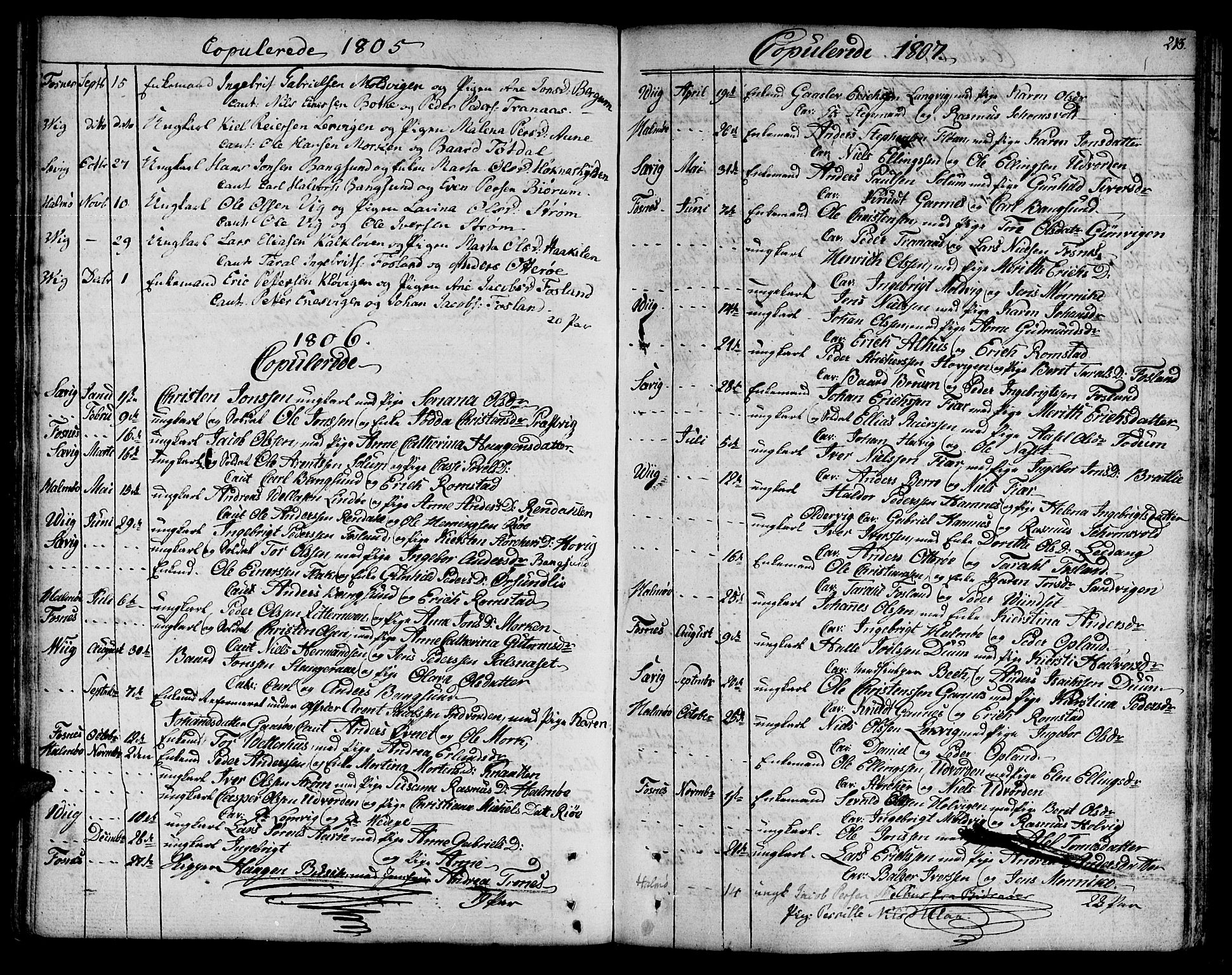 Ministerialprotokoller, klokkerbøker og fødselsregistre - Nord-Trøndelag, SAT/A-1458/773/L0608: Parish register (official) no. 773A02, 1784-1816, p. 213