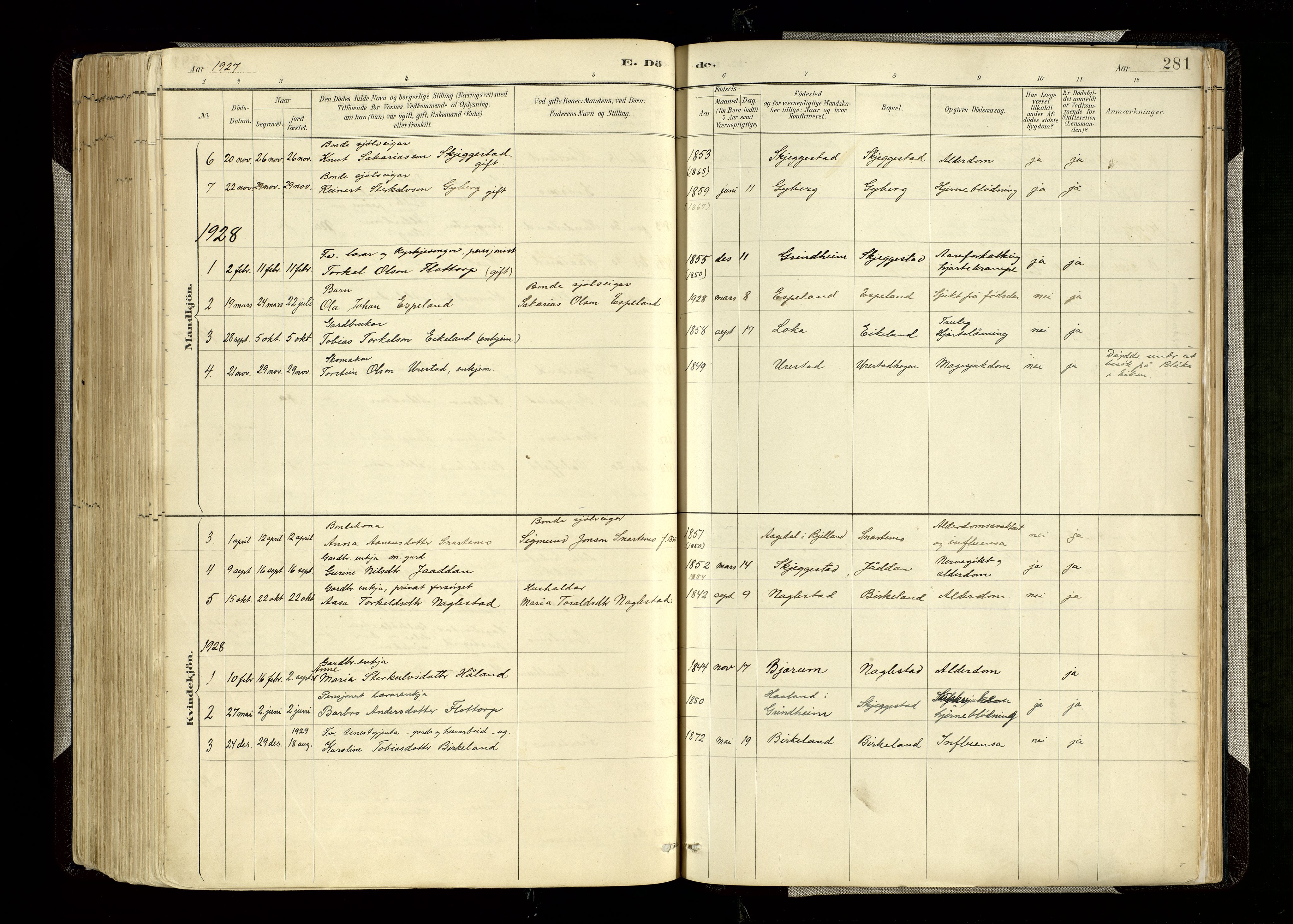 Hægebostad sokneprestkontor, SAK/1111-0024/F/Fa/Faa/L0006: Parish register (official) no. A 6, 1887-1929, p. 281