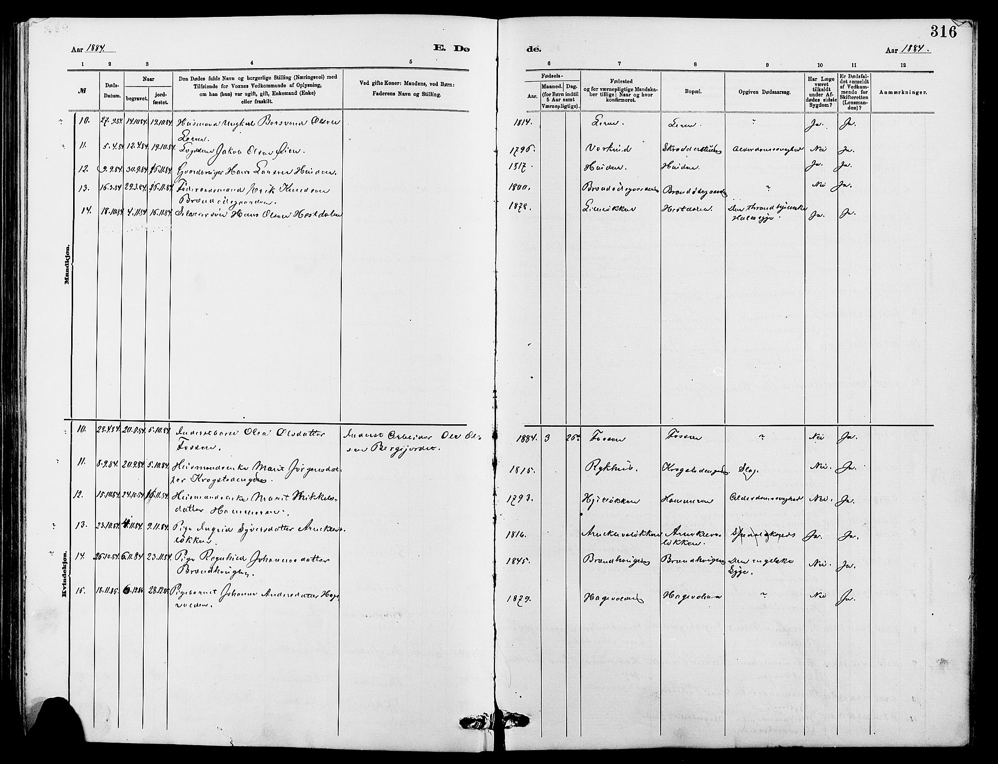 Dovre prestekontor, SAH/PREST-066/H/Ha/Hab/L0002: Parish register (copy) no. 2, 1881-1907, p. 316