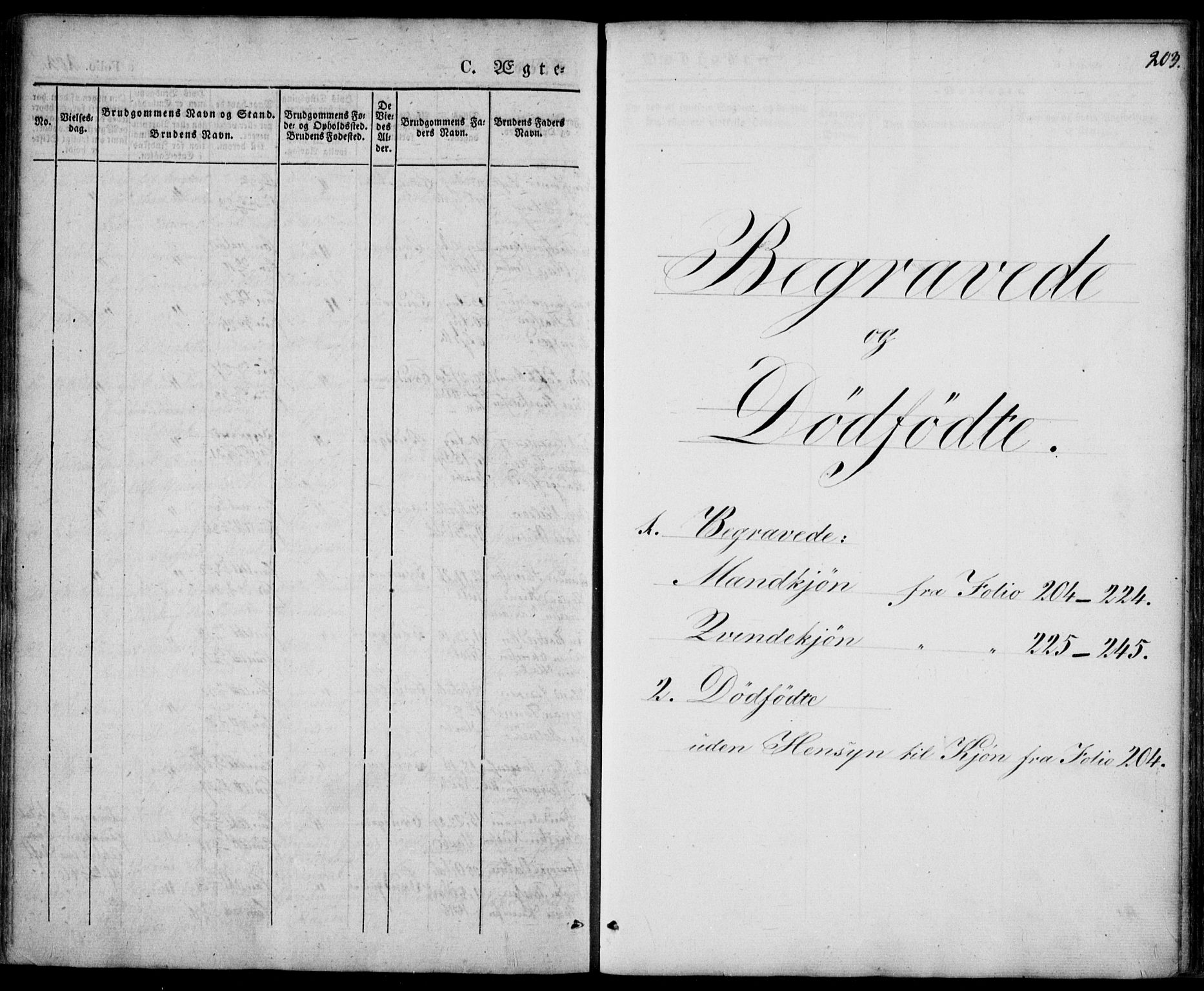 Mandal sokneprestkontor, SAK/1111-0030/F/Fa/Faa/L0012: Parish register (official) no. A 12, 1840-1847, p. 203