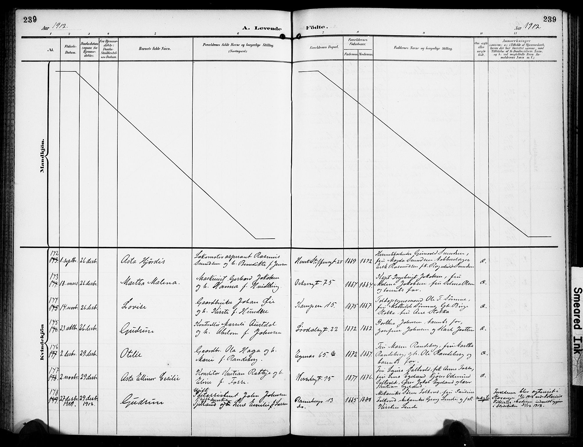 Domkirken sokneprestkontor, AV/SAST-A-101812/001/30/30BB/L0018: Parish register (copy) no. B 18, 1903-1915, p. 239