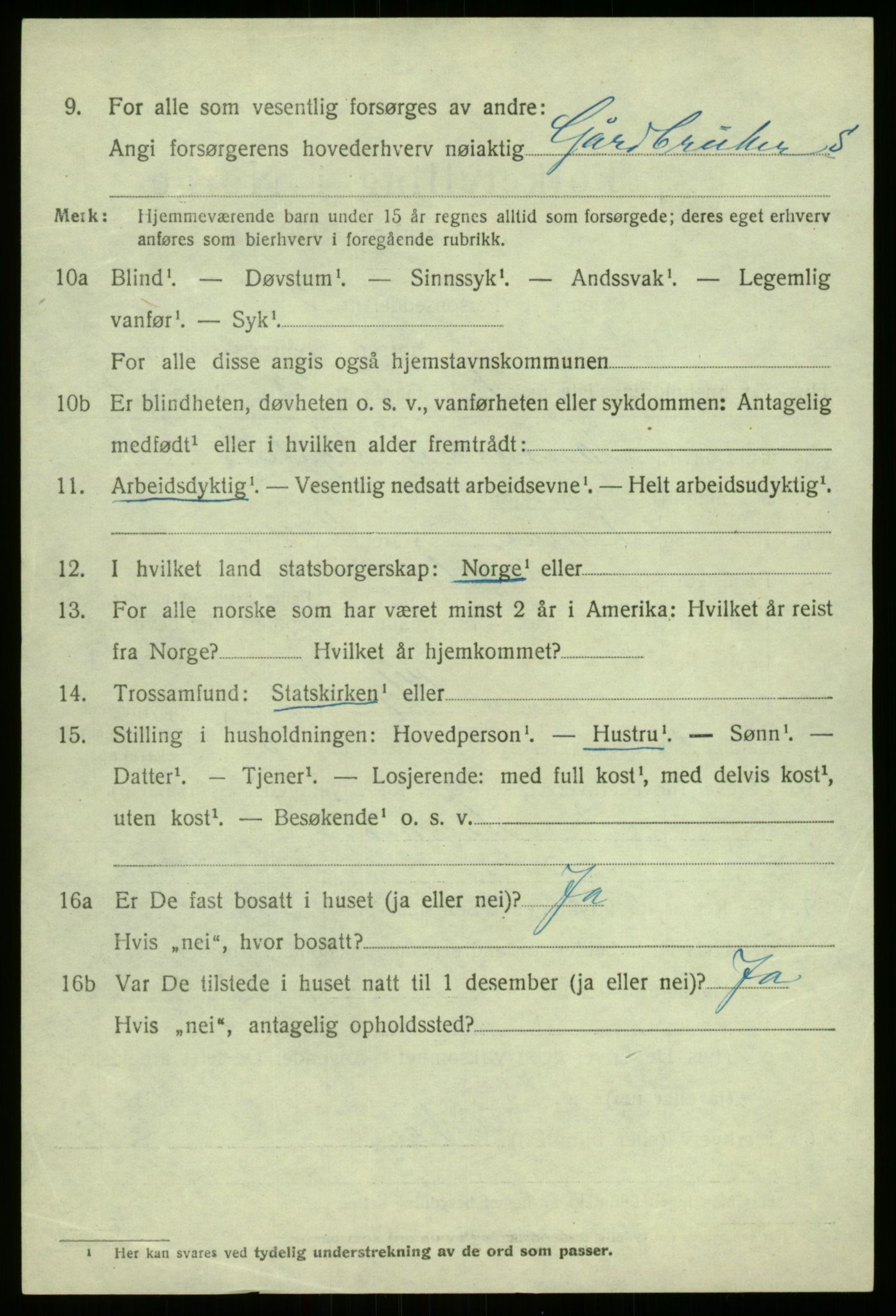 SAB, 1920 census for Hafslo, 1920, p. 5091