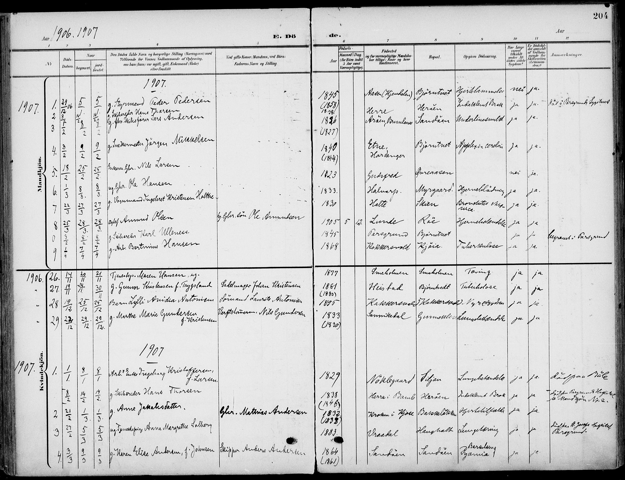Eidanger kirkebøker, SAKO/A-261/F/Fa/L0013: Parish register (official) no. 13, 1900-1913, p. 204