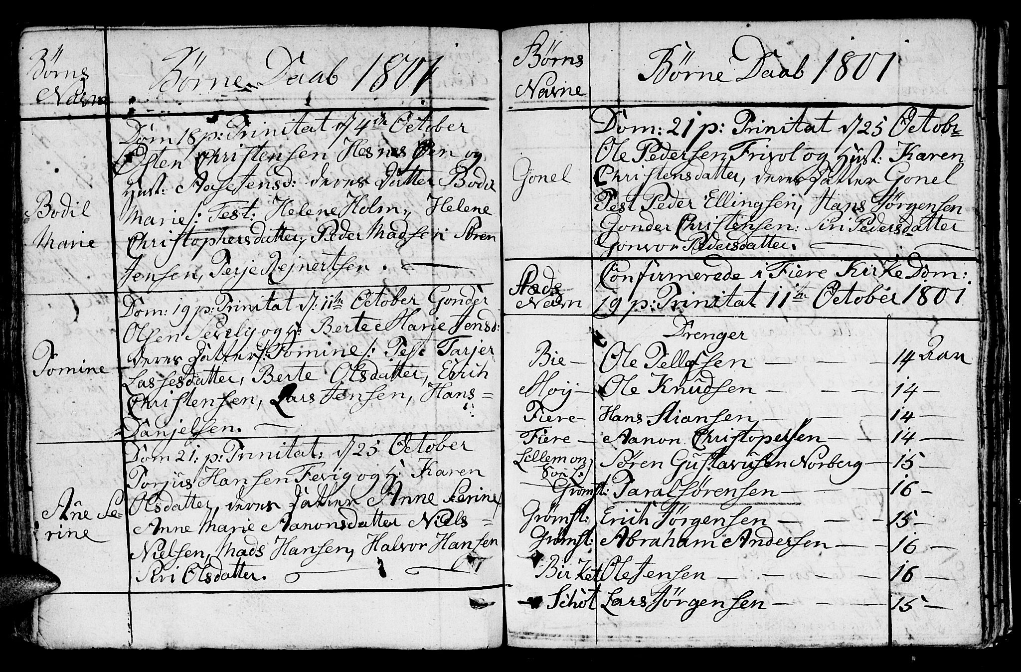 Fjære sokneprestkontor, SAK/1111-0011/F/Fb/L0005: Parish register (copy) no. B 5, 1785-1803, p. 219