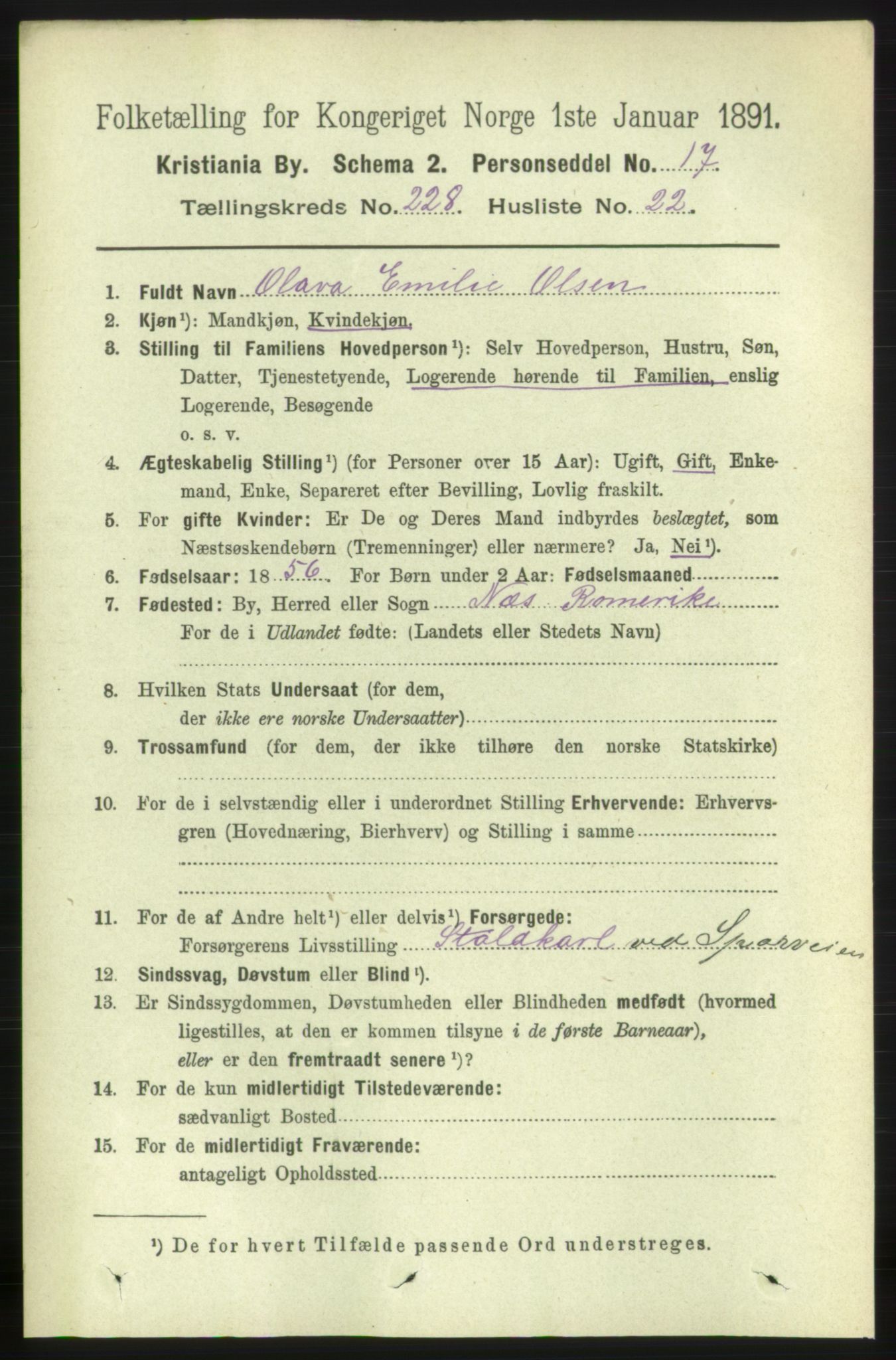 RA, 1891 census for 0301 Kristiania, 1891, p. 140223