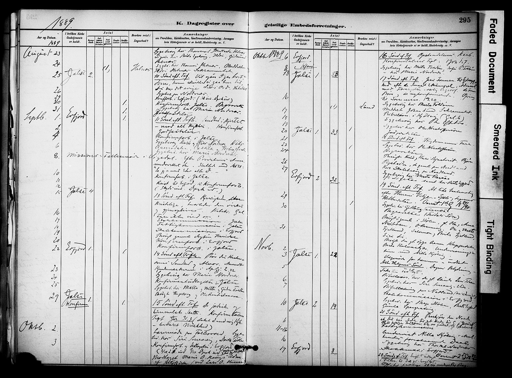 Jelsa sokneprestkontor, AV/SAST-A-101842/01/IV: Parish register (official) no. A 10, 1884-1906, p. 295