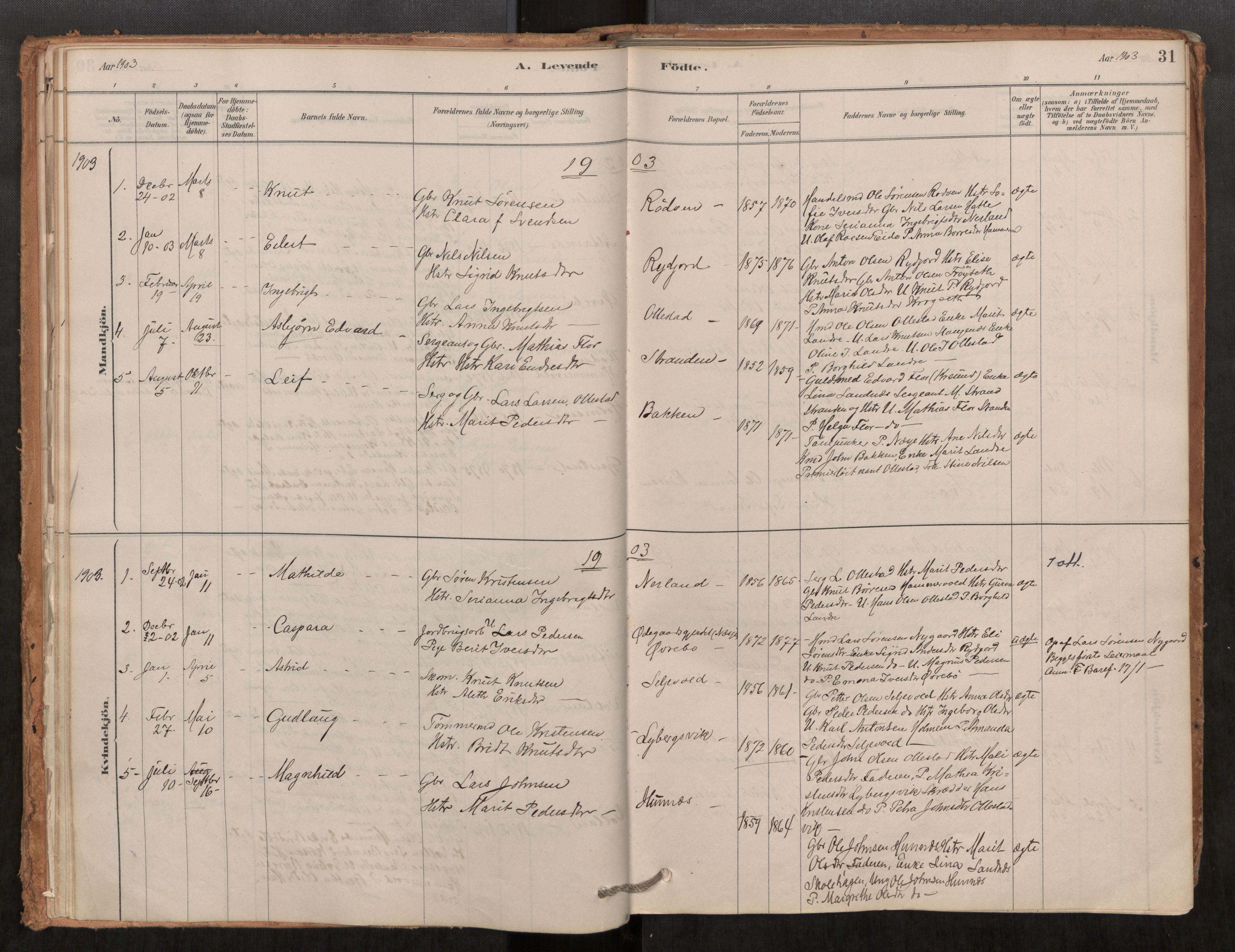 Ministerialprotokoller, klokkerbøker og fødselsregistre - Møre og Romsdal, AV/SAT-A-1454/548/L0615: Parish register (official) no. 548A02, 1878-1906, p. 31