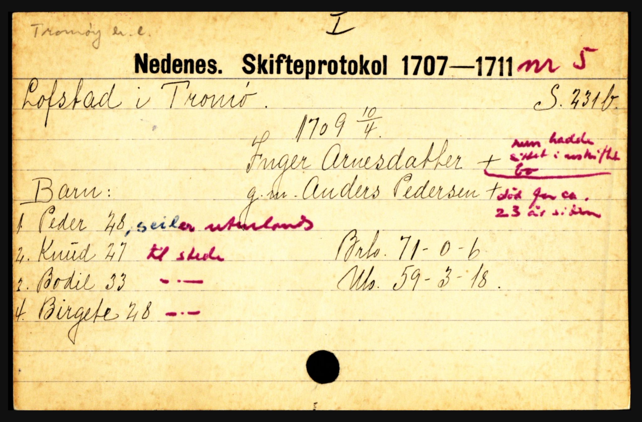 Nedenes sorenskriveri før 1824, AV/SAK-1221-0007/H, p. 18129