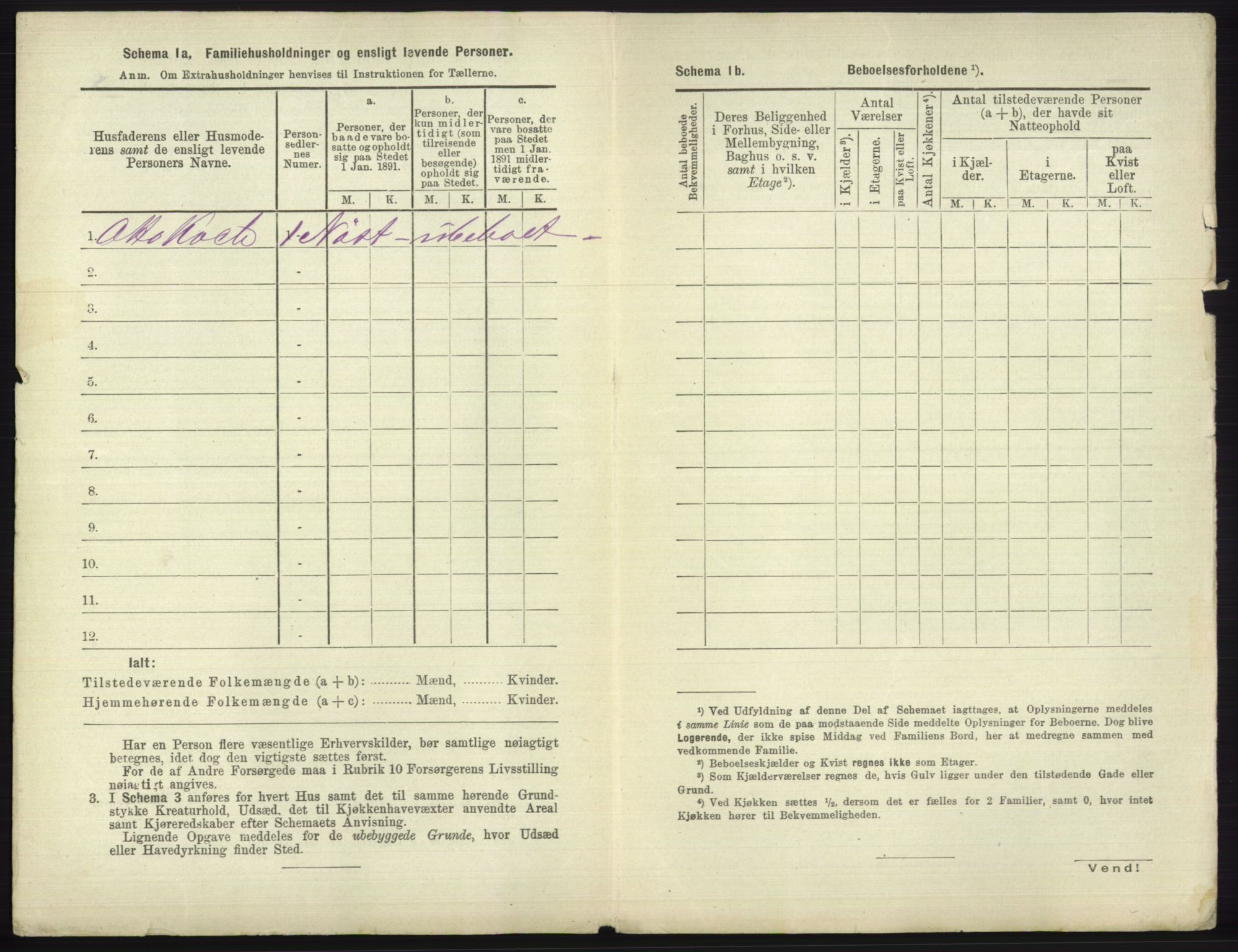 RA, 1891 census for 1804 Bodø, 1891, p. 2010