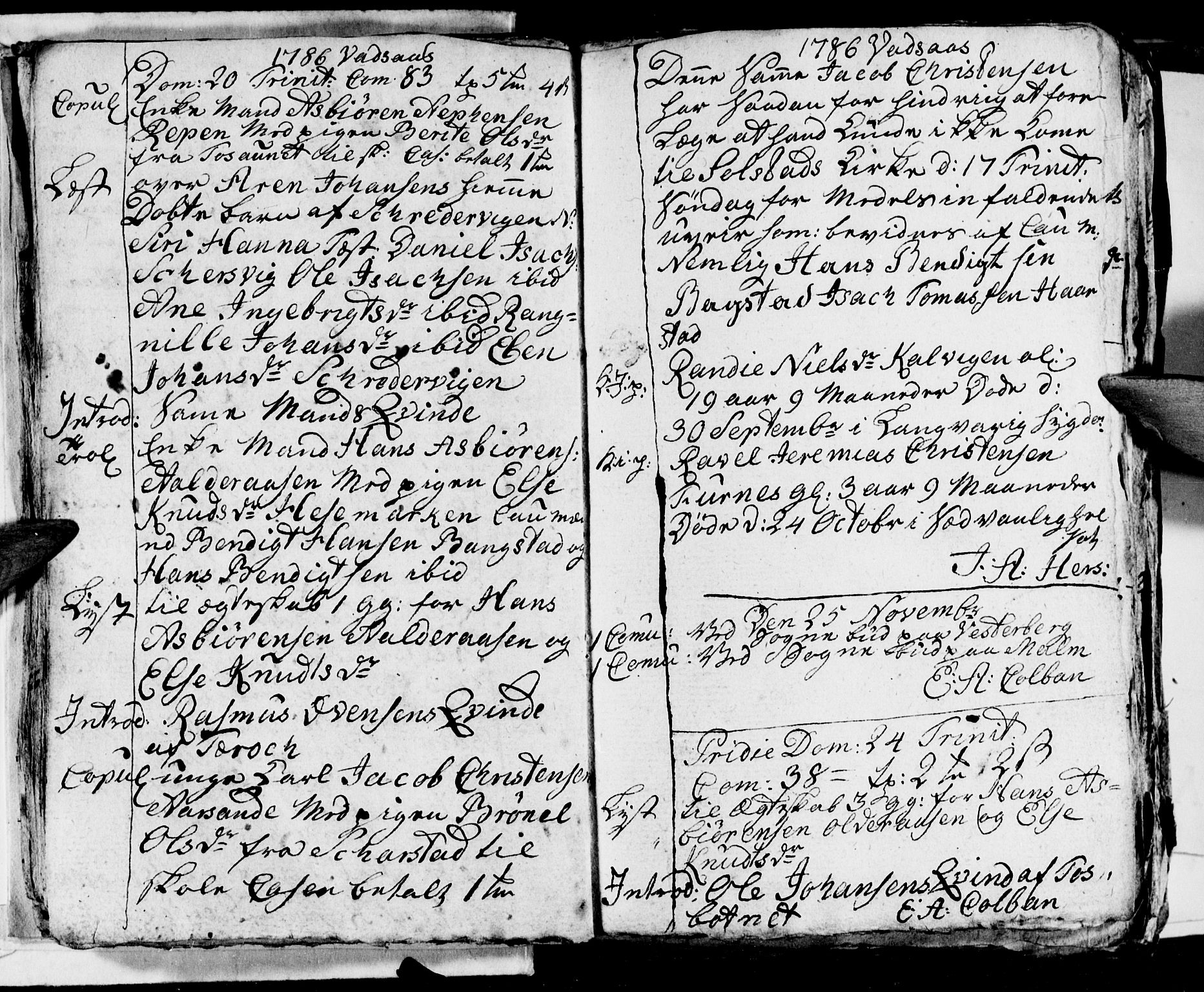 Ministerialprotokoller, klokkerbøker og fødselsregistre - Nordland, AV/SAT-A-1459/810/L0139: Parish register (official) no. 810A03, 1785-1816