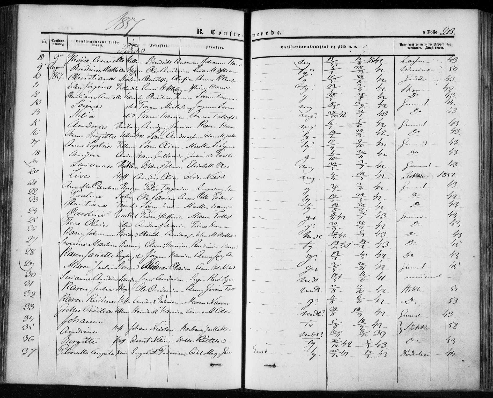 Hurum kirkebøker, AV/SAKO-A-229/F/Fa/L0011: Parish register (official) no. 11, 1847-1860, p. 213