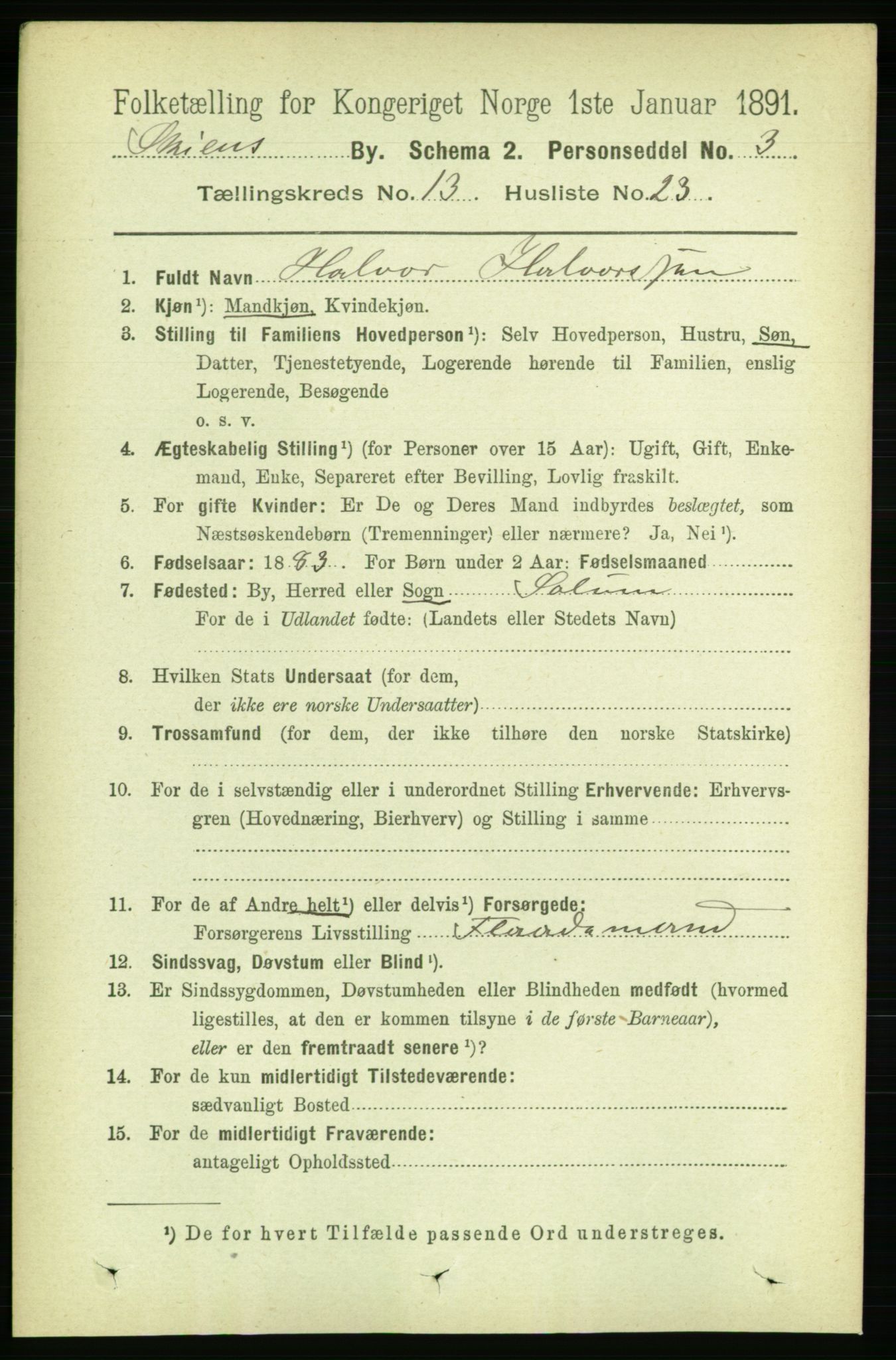 RA, 1891 census for 0806 Skien, 1891, p. 4263