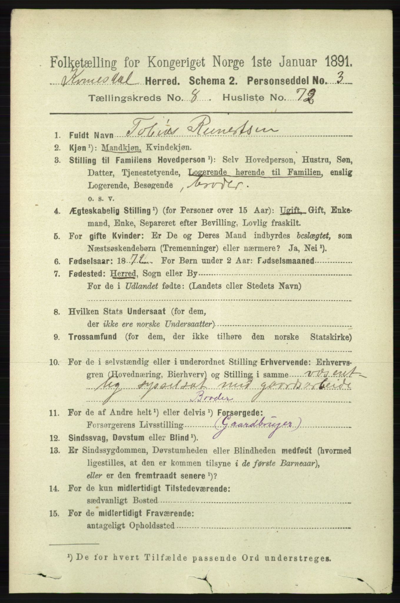 RA, 1891 census for 1037 Kvinesdal, 1891, p. 3199