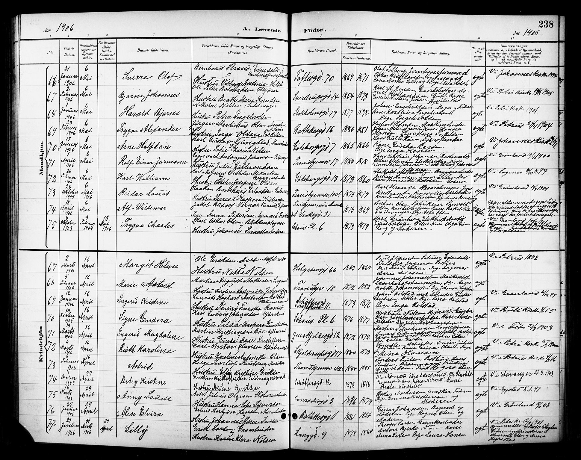 Petrus prestekontor Kirkebøker, AV/SAO-A-10872/G/Ga/L0003: Parish register (copy) no. 3, 1899-1913, p. 238