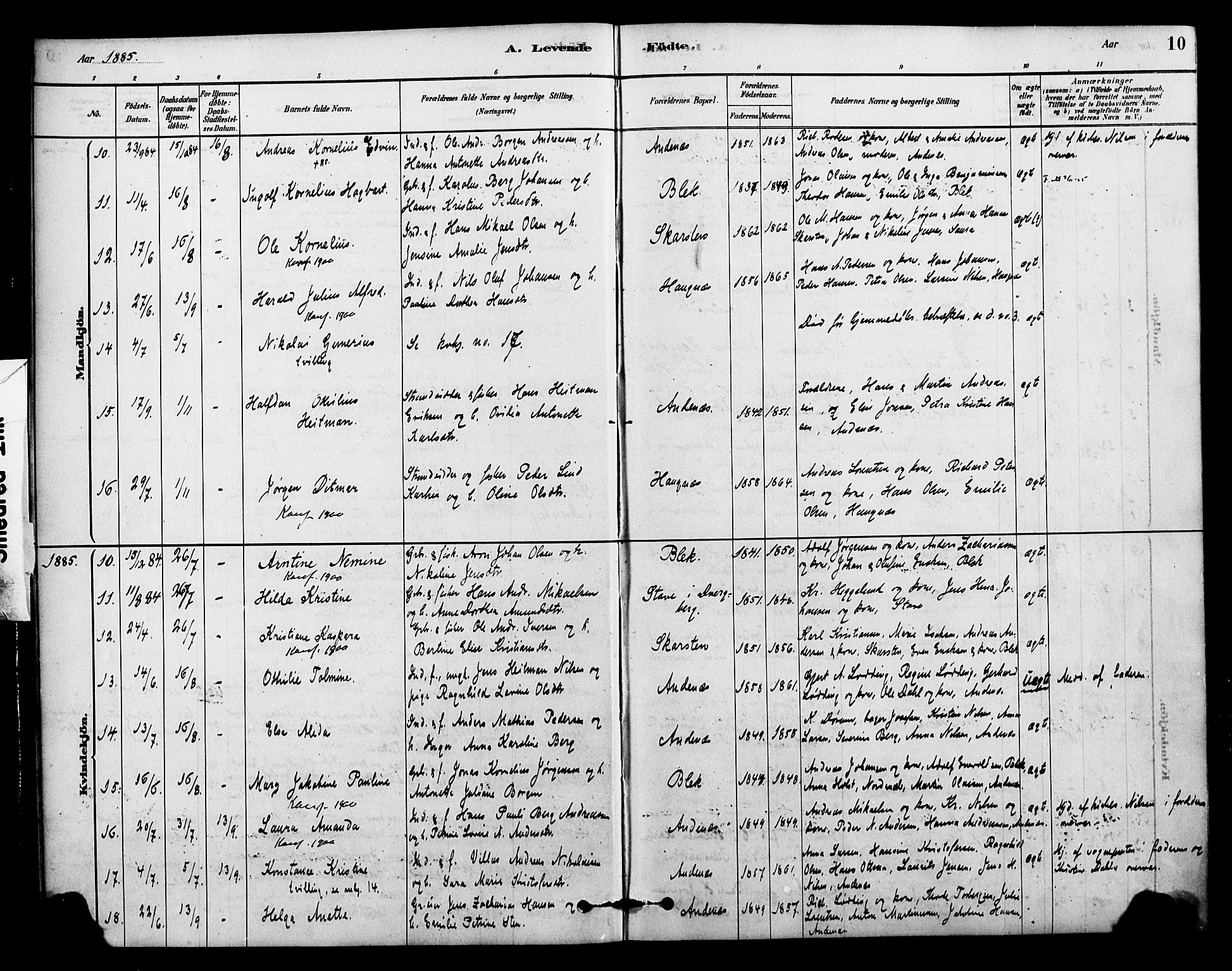 Ministerialprotokoller, klokkerbøker og fødselsregistre - Nordland, AV/SAT-A-1459/899/L1436: Parish register (official) no. 899A04, 1881-1896, p. 10