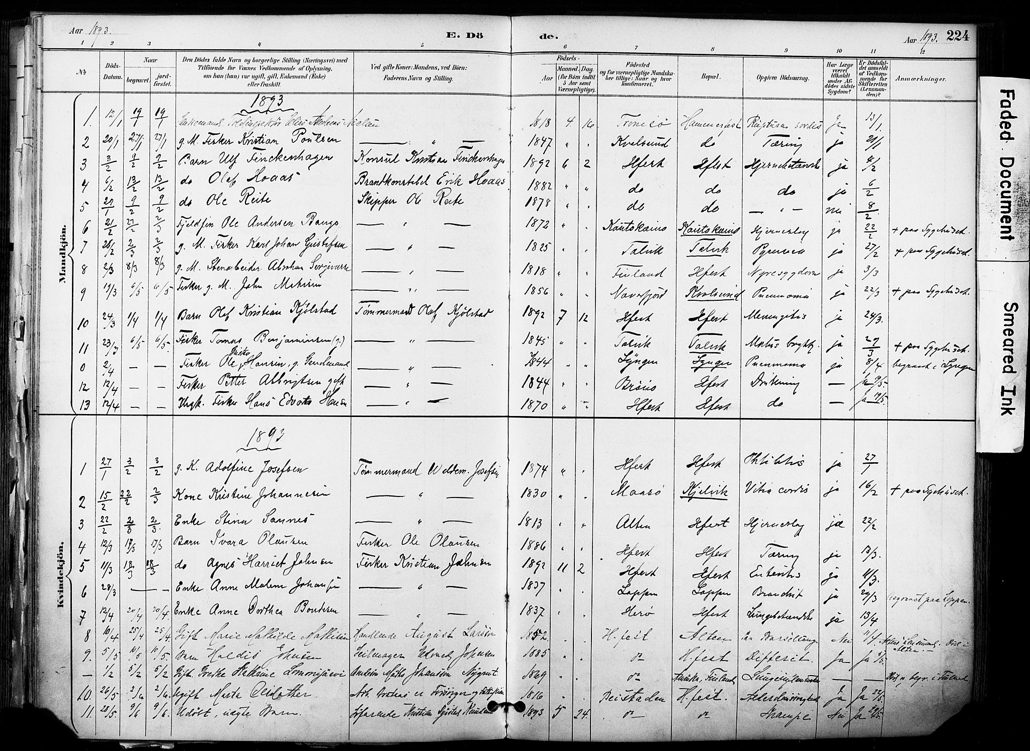 Hammerfest sokneprestkontor, AV/SATØ-S-1347/H/Ha/L0009.kirke: Parish register (official) no. 9, 1889-1897, p. 224