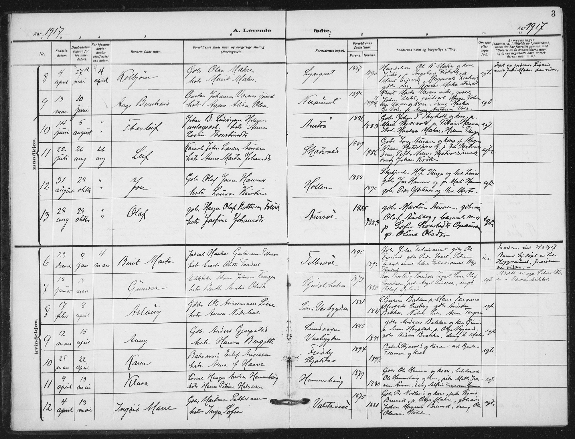 Ministerialprotokoller, klokkerbøker og fødselsregistre - Nord-Trøndelag, AV/SAT-A-1458/712/L0102: Parish register (official) no. 712A03, 1916-1929, p. 3