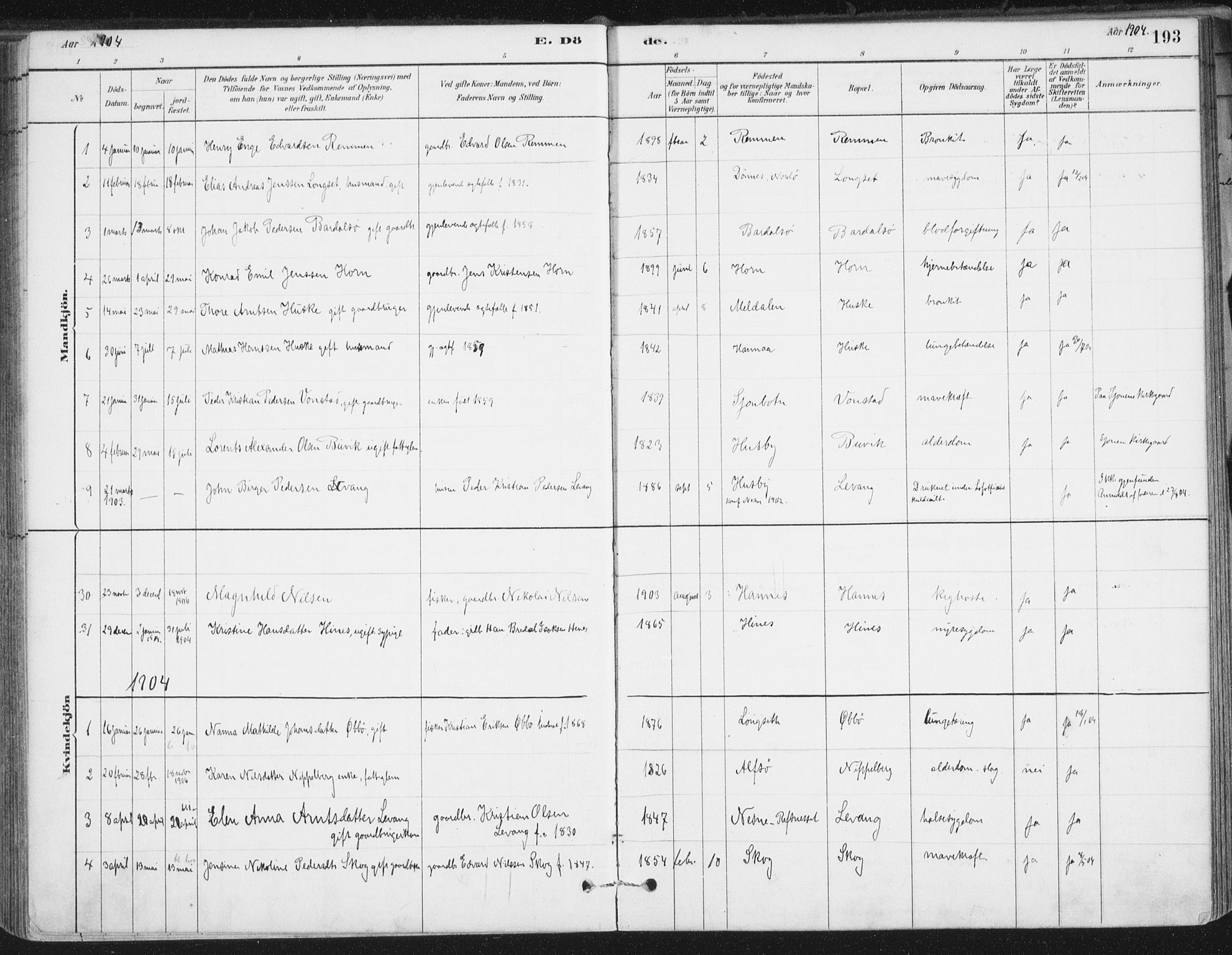 Ministerialprotokoller, klokkerbøker og fødselsregistre - Nordland, AV/SAT-A-1459/838/L0553: Parish register (official) no. 838A11, 1880-1910, p. 193