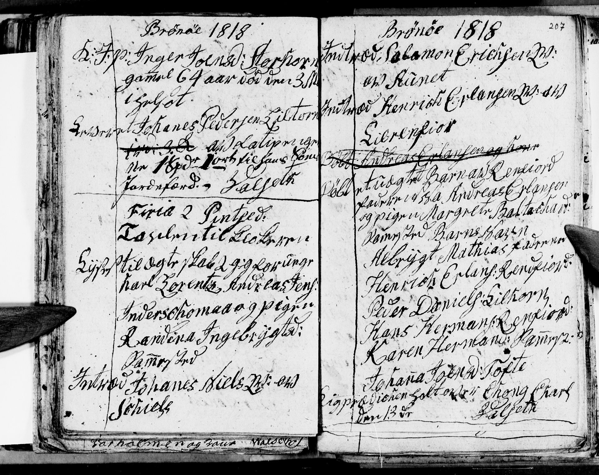 Ministerialprotokoller, klokkerbøker og fødselsregistre - Nordland, AV/SAT-A-1459/813/L0209: Parish register (copy) no. 813C01, 1803-1821, p. 207