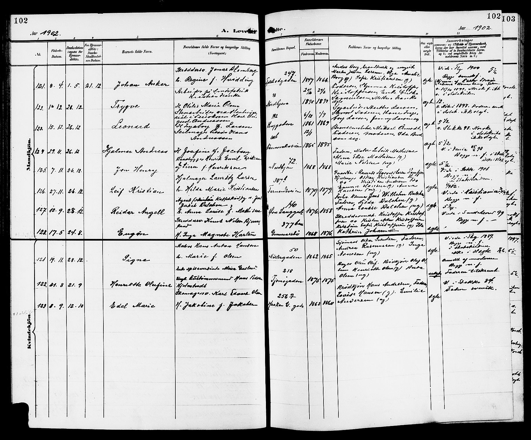 Tønsberg kirkebøker, SAKO/A-330/G/Ga/L0007: Parish register (copy) no. 7, 1896-1904, p. 102