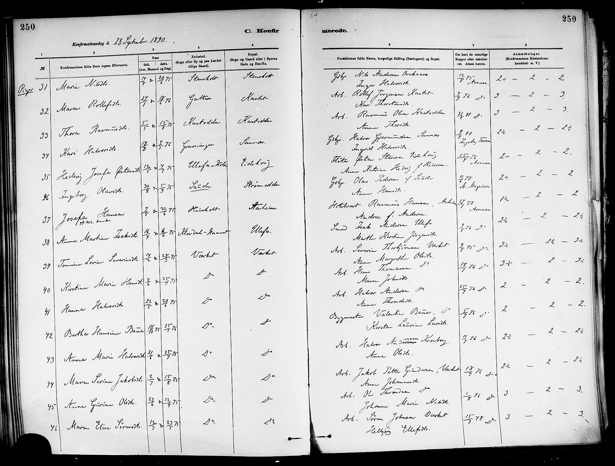 Holla kirkebøker, AV/SAKO-A-272/F/Fa/L0008: Parish register (official) no. 8, 1882-1897, p. 250