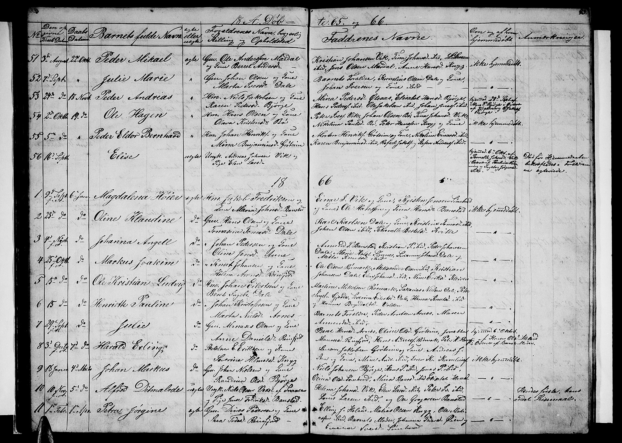 Ministerialprotokoller, klokkerbøker og fødselsregistre - Nordland, AV/SAT-A-1459/812/L0187: Parish register (copy) no. 812C05, 1850-1883, p. 43