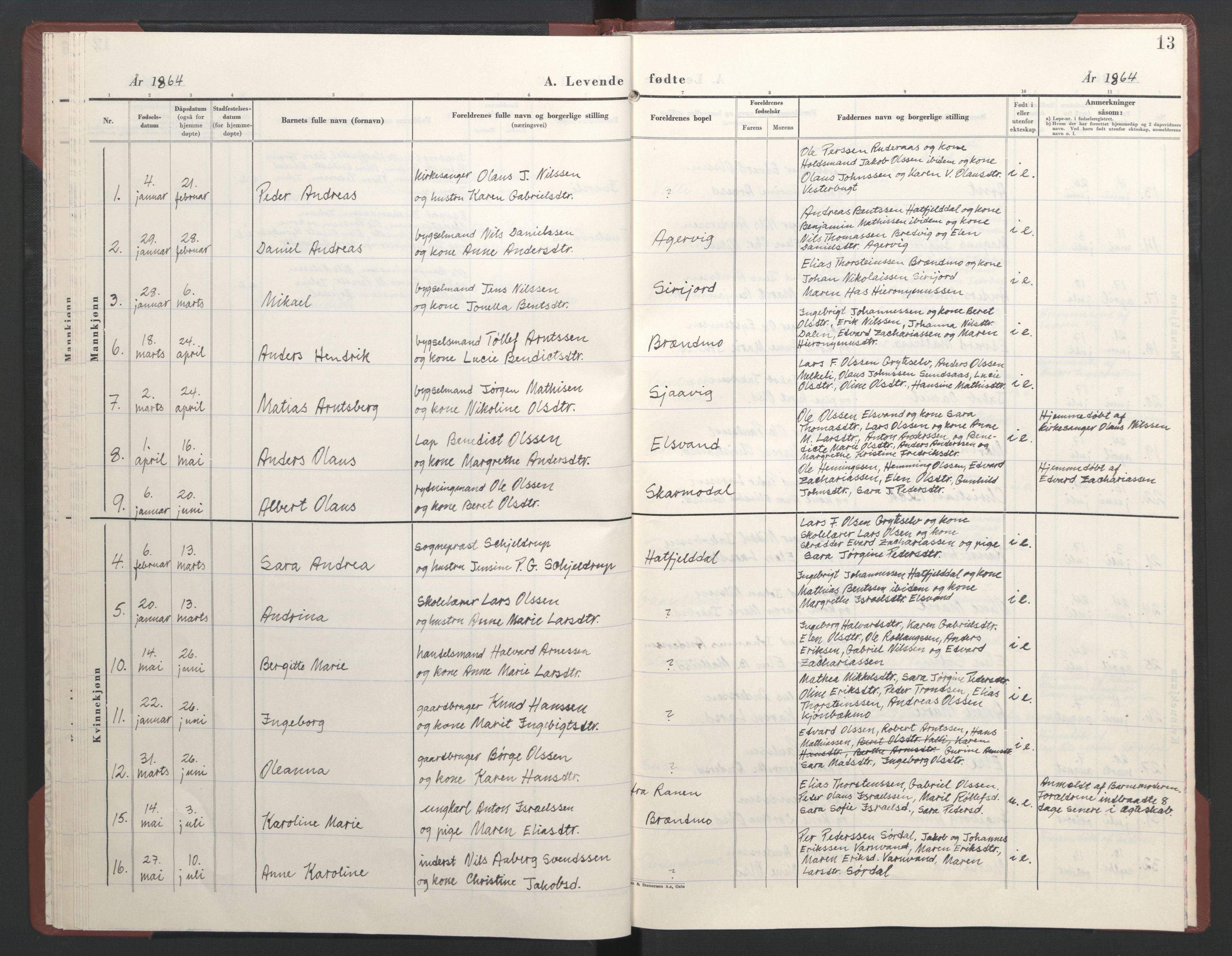 Ministerialprotokoller, klokkerbøker og fødselsregistre - Nordland, AV/SAT-A-1459/823/L0335: Parish register (official) no. 823D01, 1860-1864, p. 13