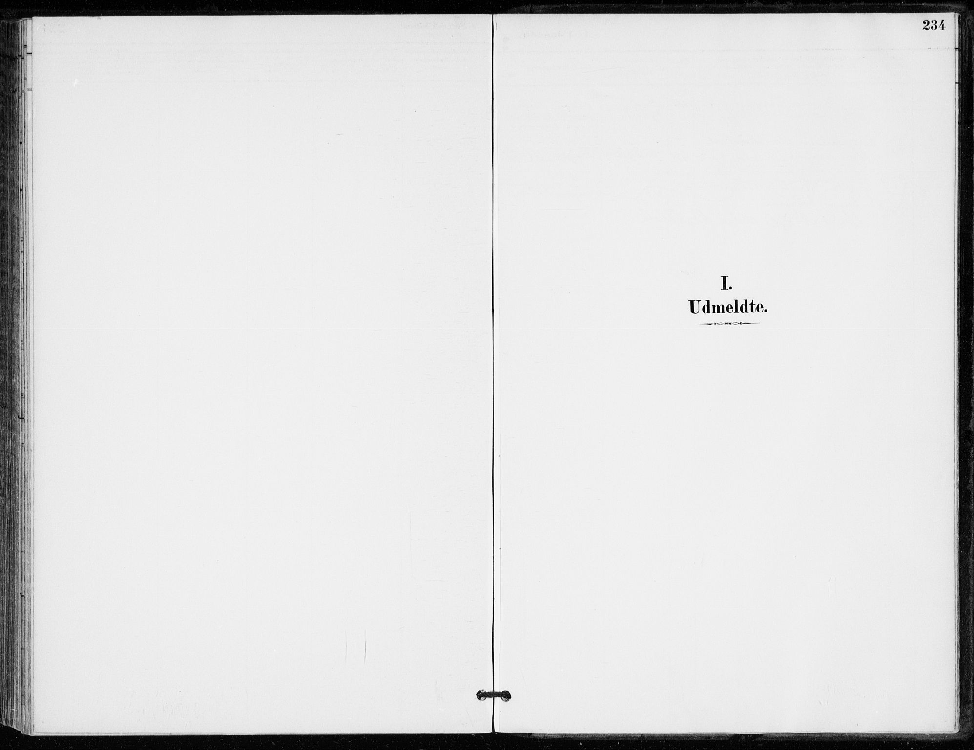 Strømsø kirkebøker, AV/SAKO-A-246/F/Fb/L0007: Parish register (official) no. II 7, 1887-1928, p. 234