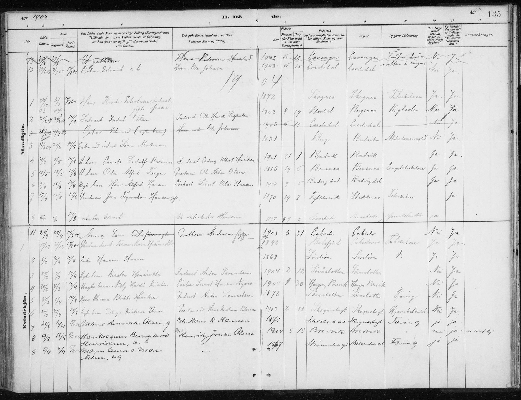 Lyngen sokneprestembete, SATØ/S-1289/H/He/Hea/L0010kirke: Parish register (official) no. 10, 1883-1904, p. 135