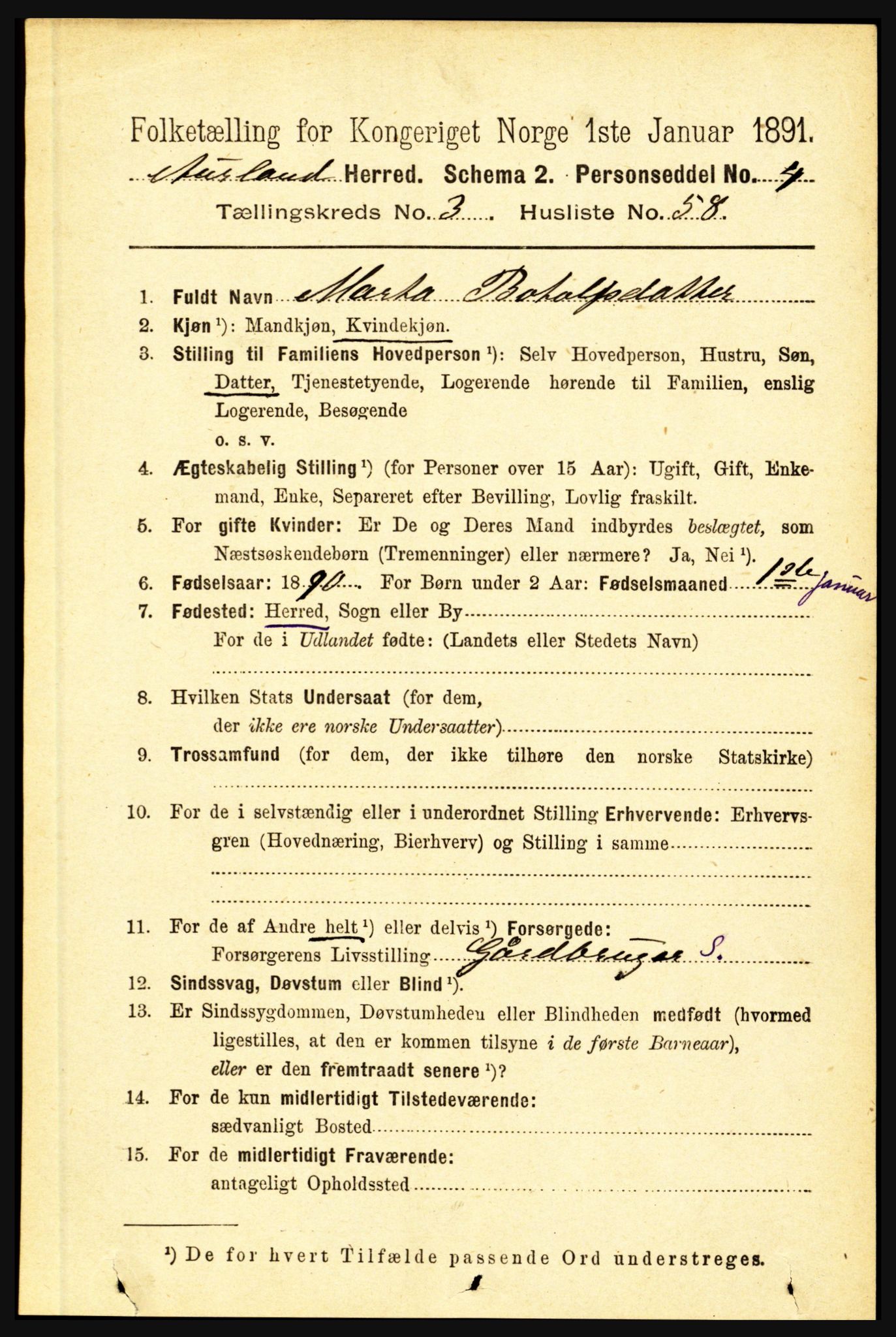 RA, 1891 census for 1421 Aurland, 1891, p. 1249