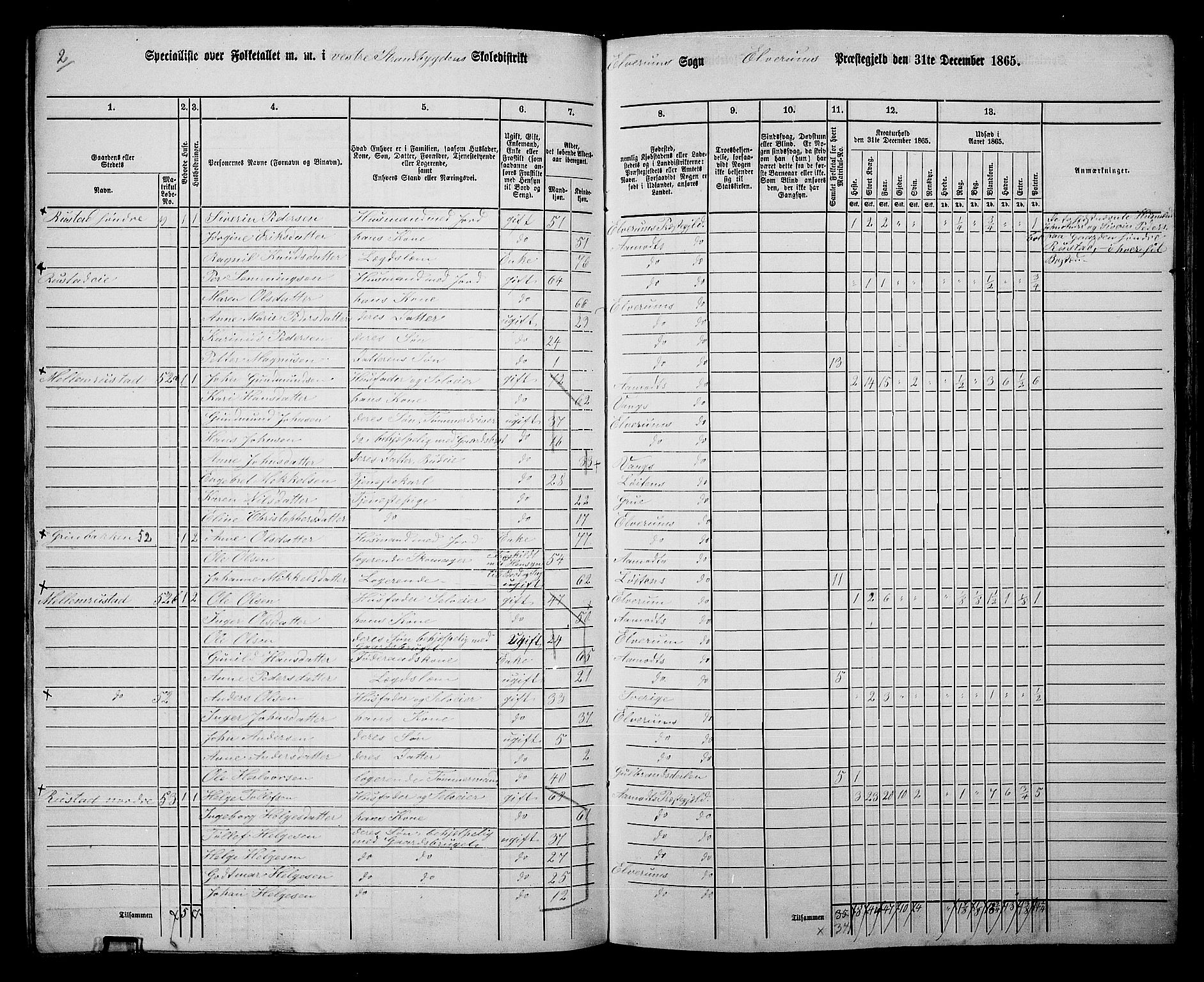 RA, 1865 census for Elverum, 1865, p. 133