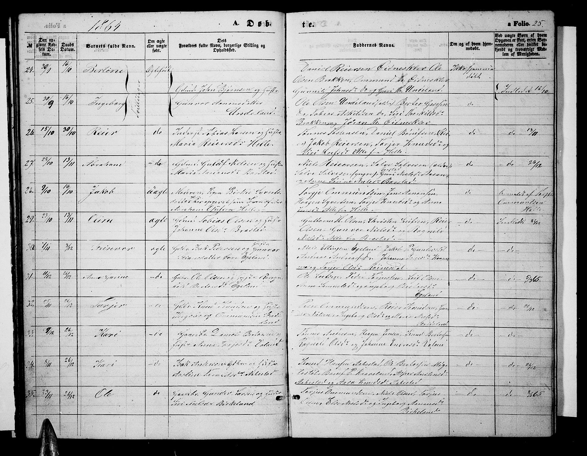 Nord-Audnedal sokneprestkontor, AV/SAK-1111-0032/F/Fb/Fba/L0002: Parish register (copy) no. B 2, 1856-1882, p. 25