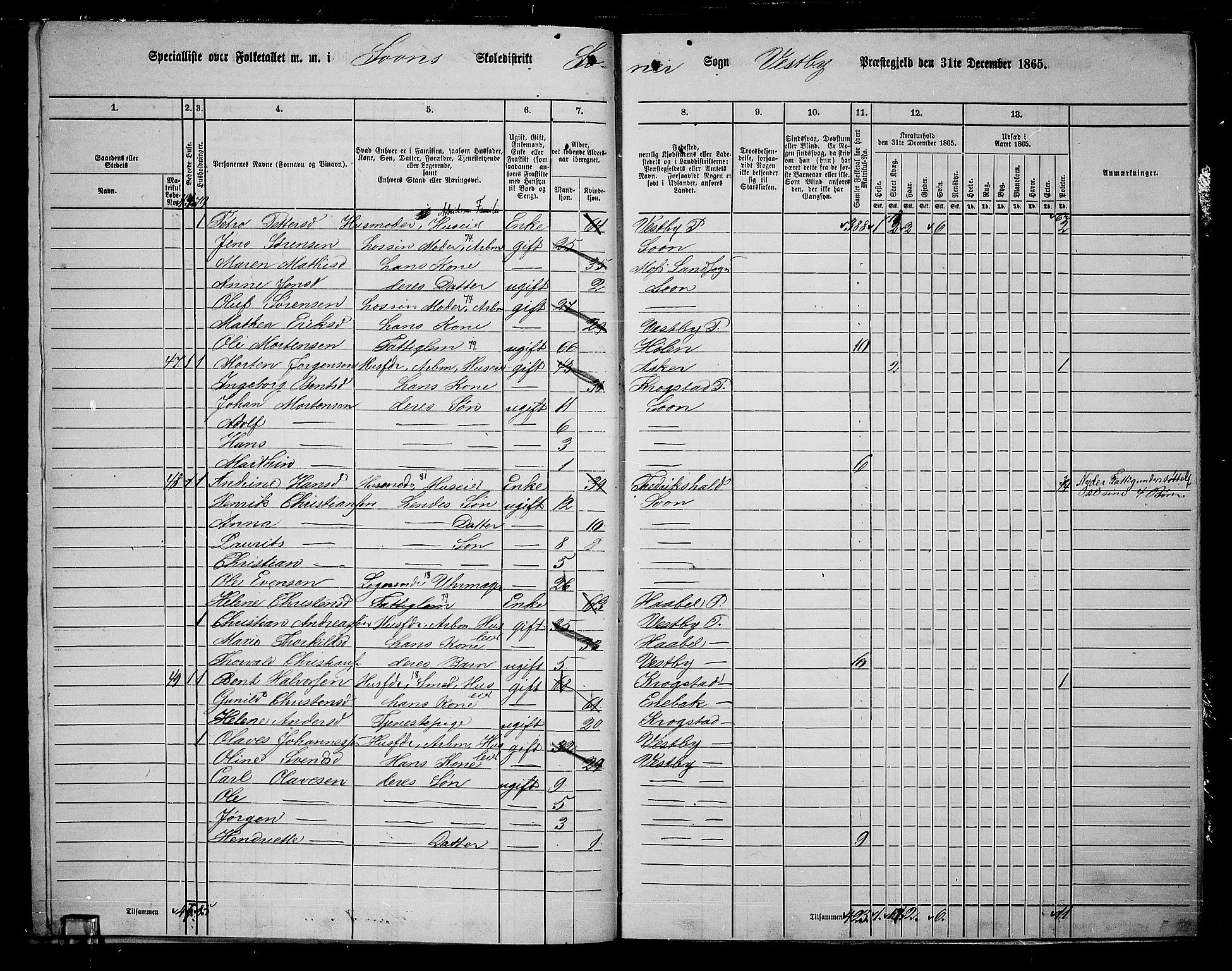 RA, 1865 census for Vestby, 1865, p. 163
