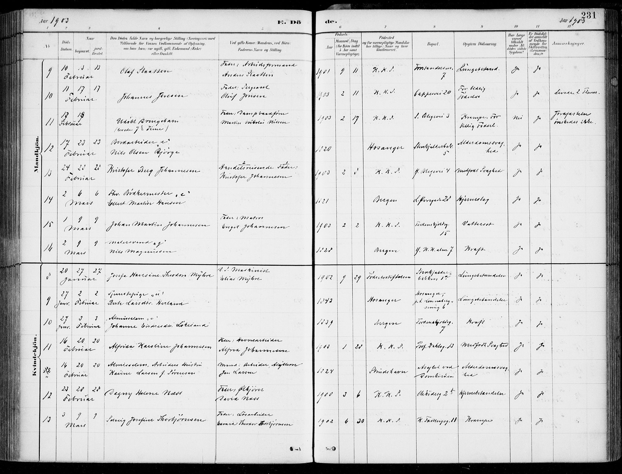 Korskirken sokneprestembete, AV/SAB-A-76101/H/Hab: Parish register (copy) no. E 4, 1884-1910, p. 231