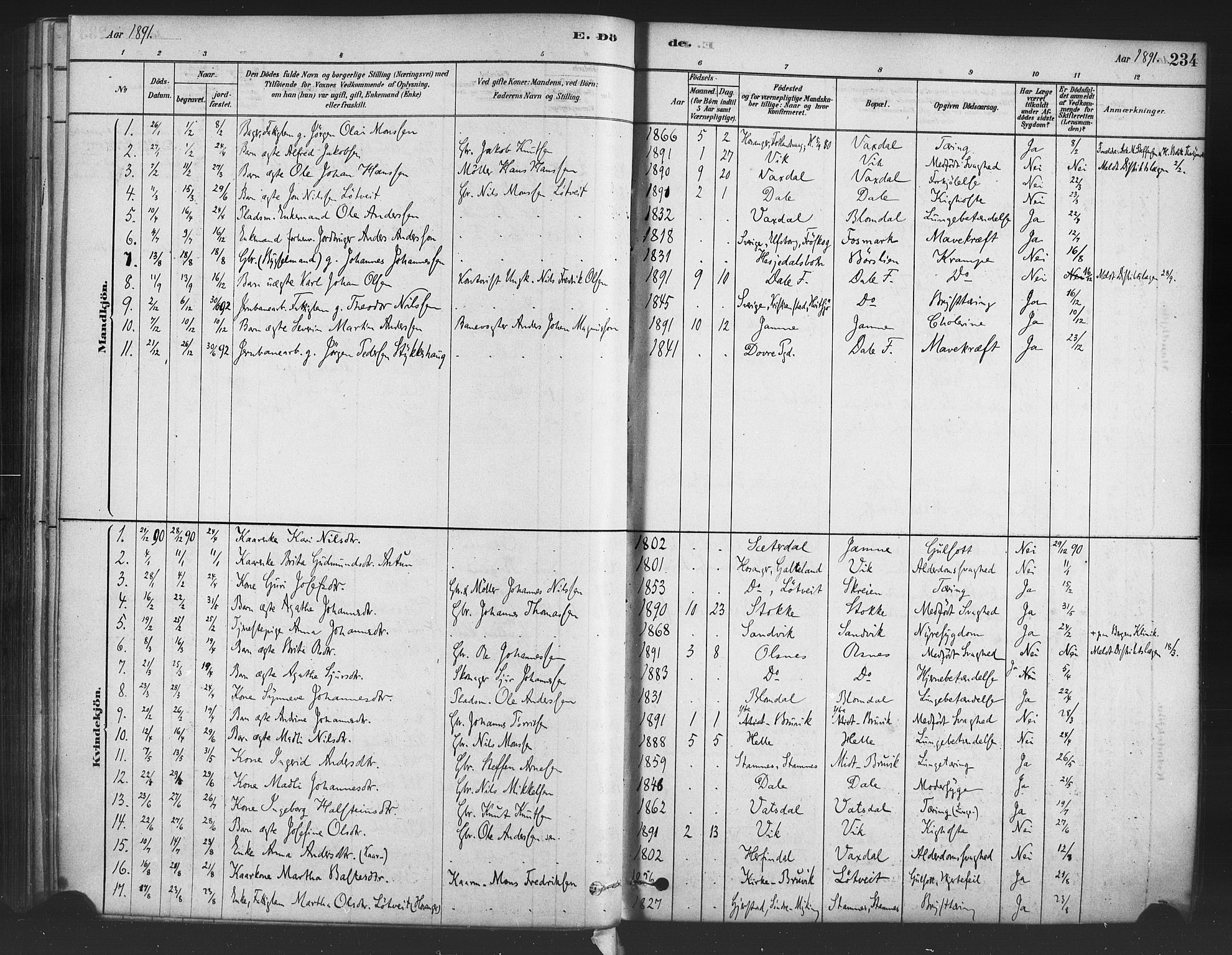 Bruvik Sokneprestembete, SAB/A-74701/H/Haa: Parish register (official) no. B 1, 1878-1904, p. 234